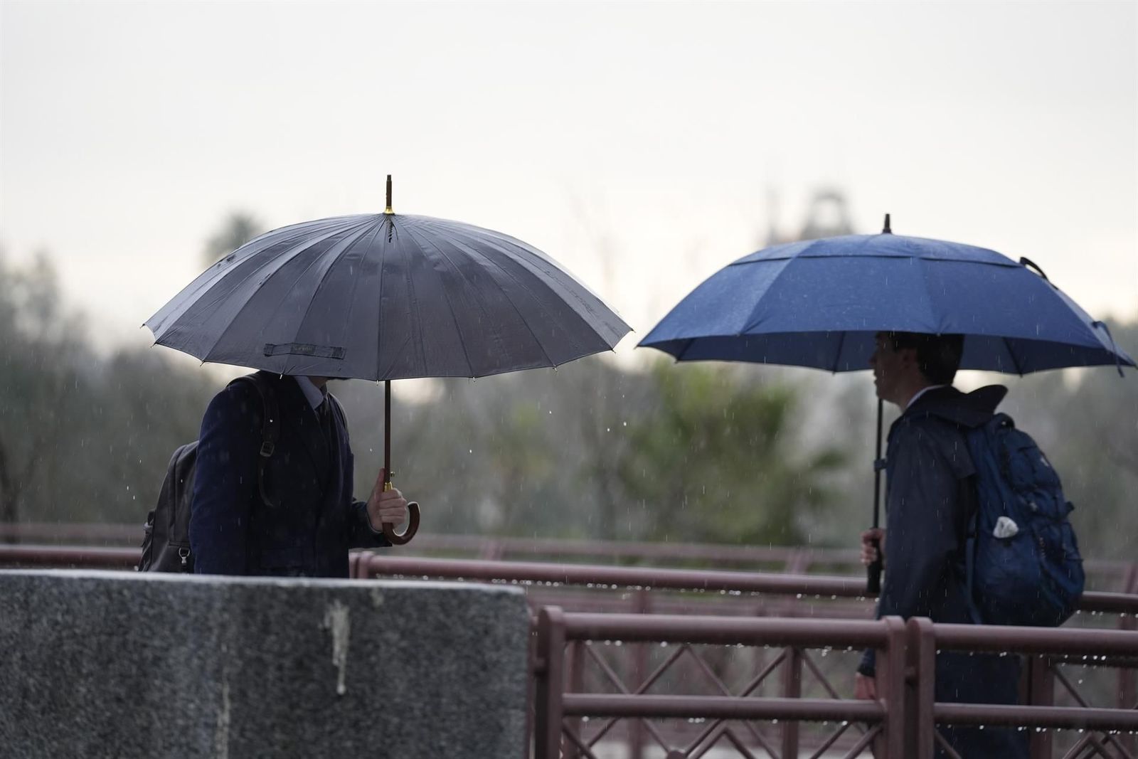 Varias se protegen de la lluvia con un paraguas.   Joaquin Corchero   Europa Press