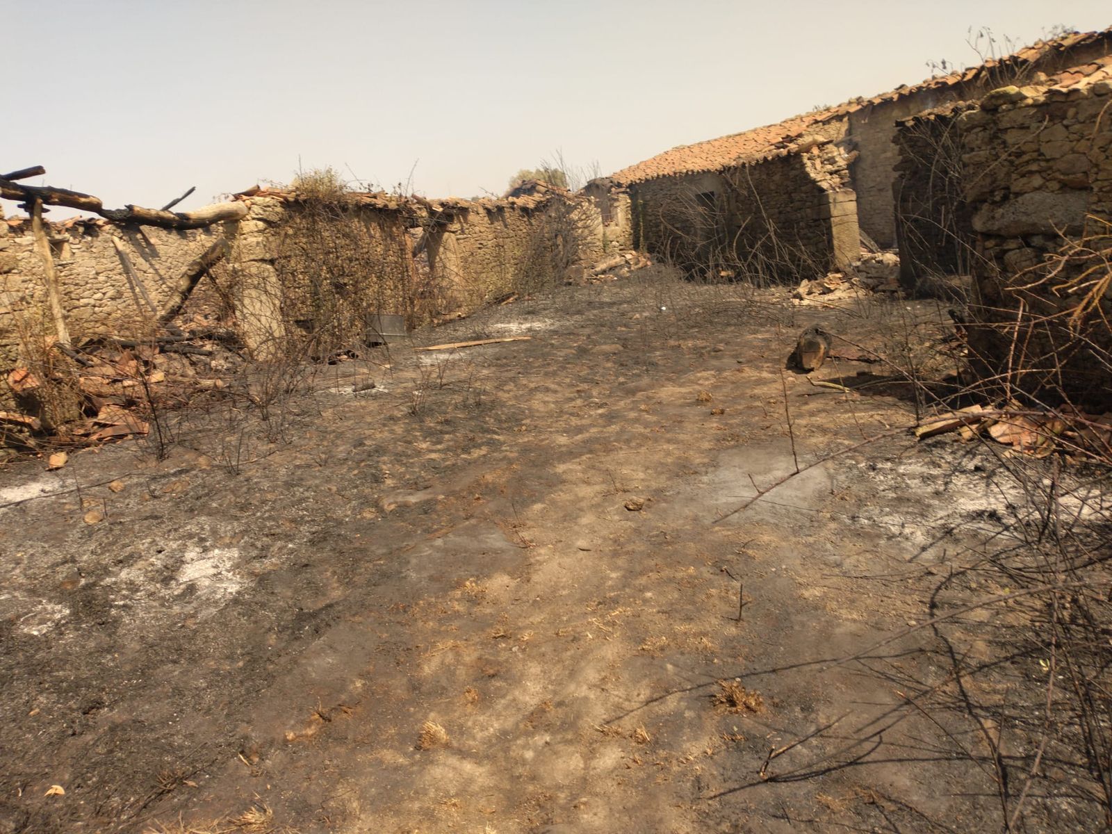 El Groo quemado tras el incendio de Cipérez (9).jpeg