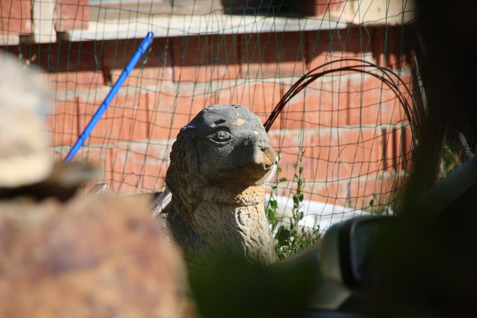 20230614092452-img-2656