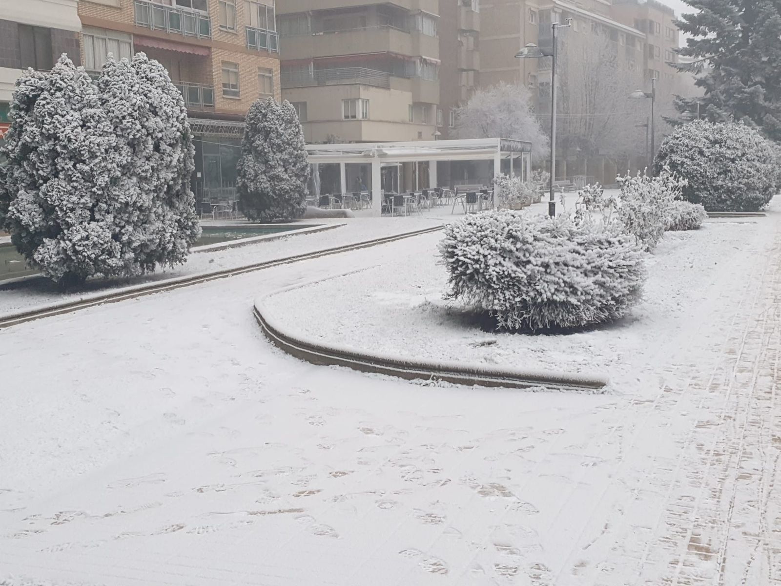 Cencellada viernes 2021 (14)