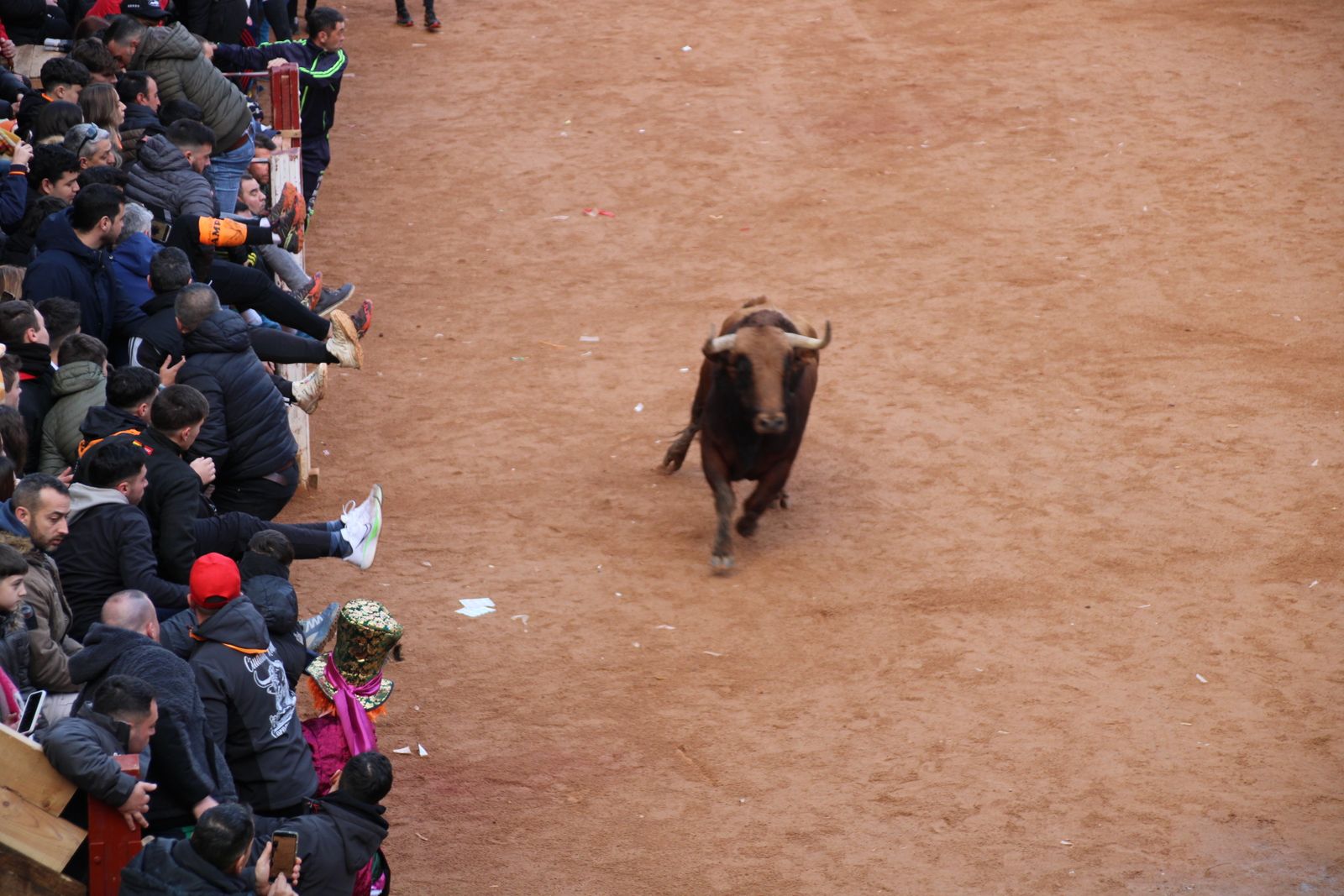 Toro del aguardiente en la mañana de martes del Carnaval del Toro 2026