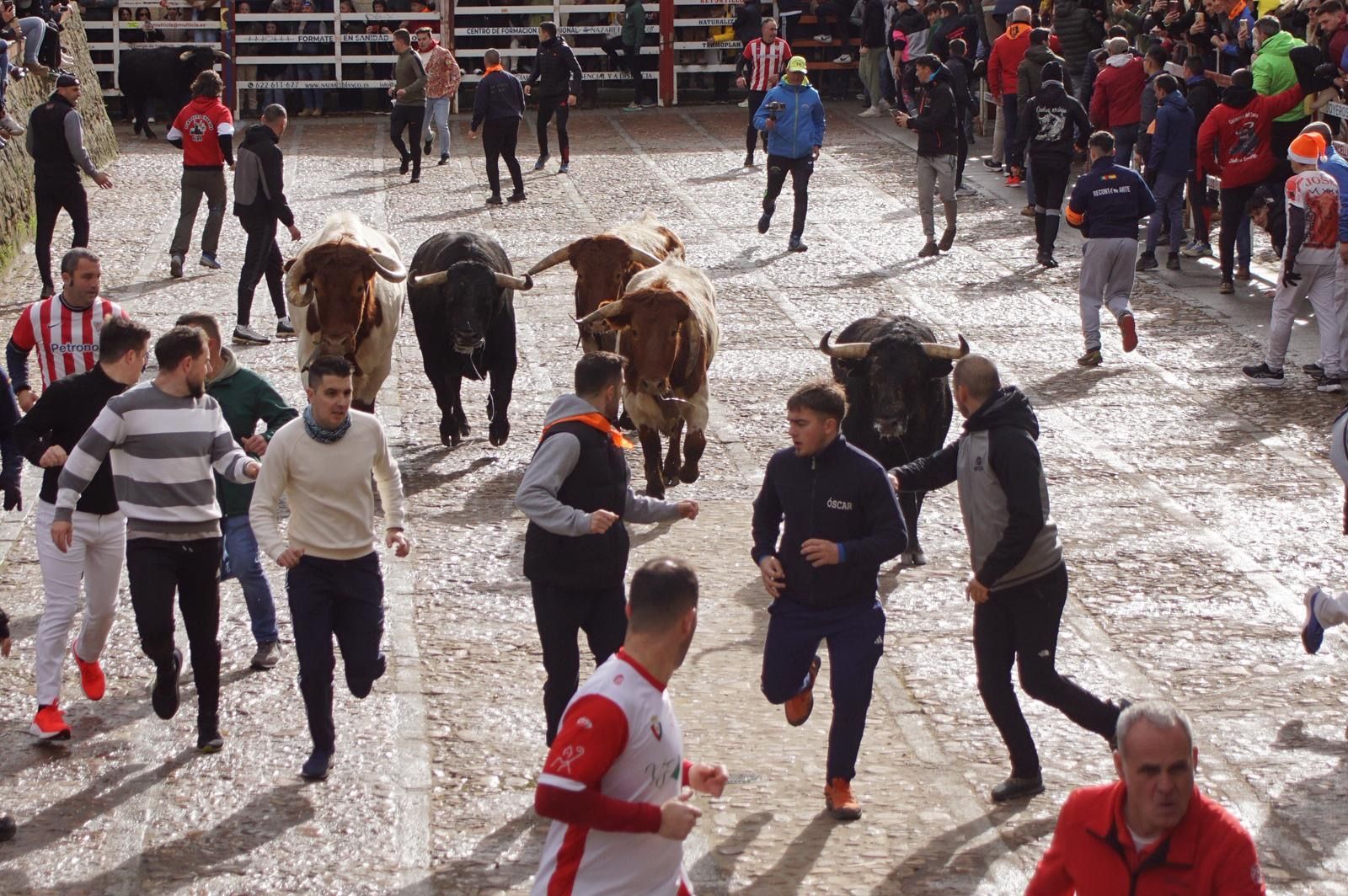 El encierro de Lunes de Carnaval en Ciudad Rodrigo en imágenes