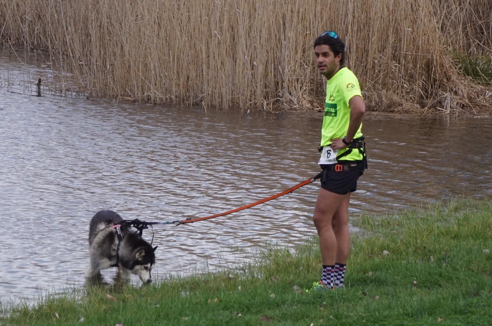 iv-canicross-alba-de-tormes-14