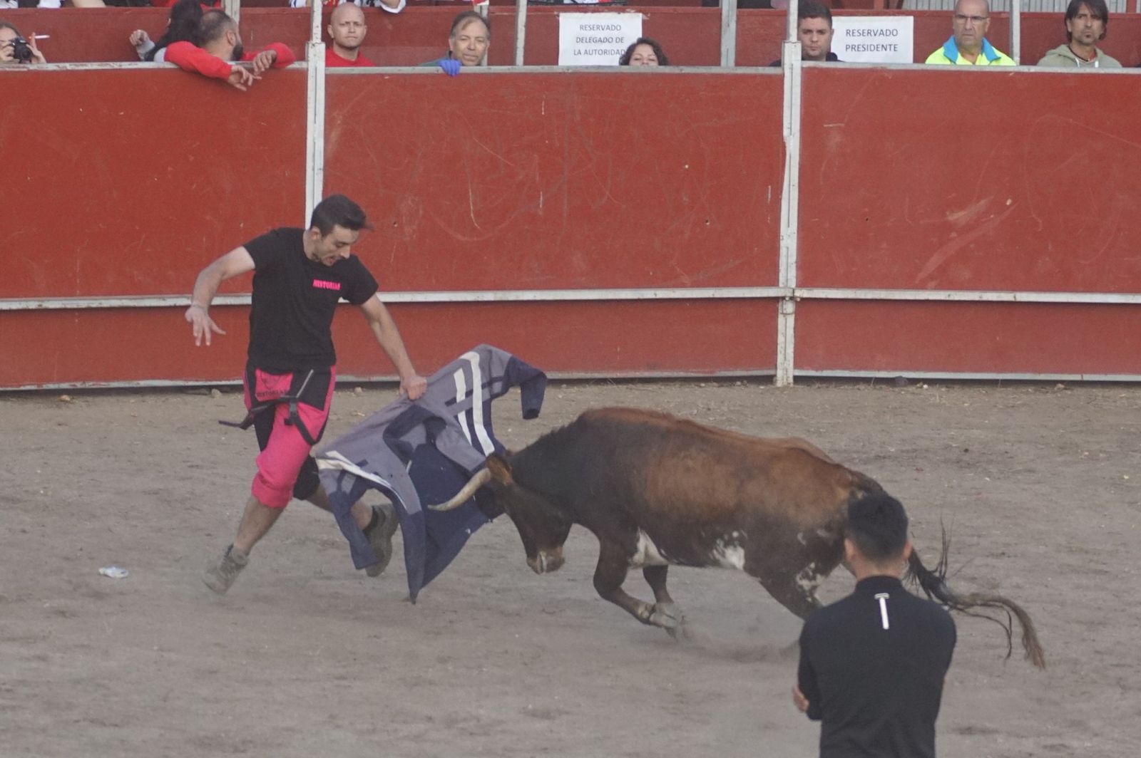 Carreras, risas y tradición: así se ha vivido El Toro en Santa Marta