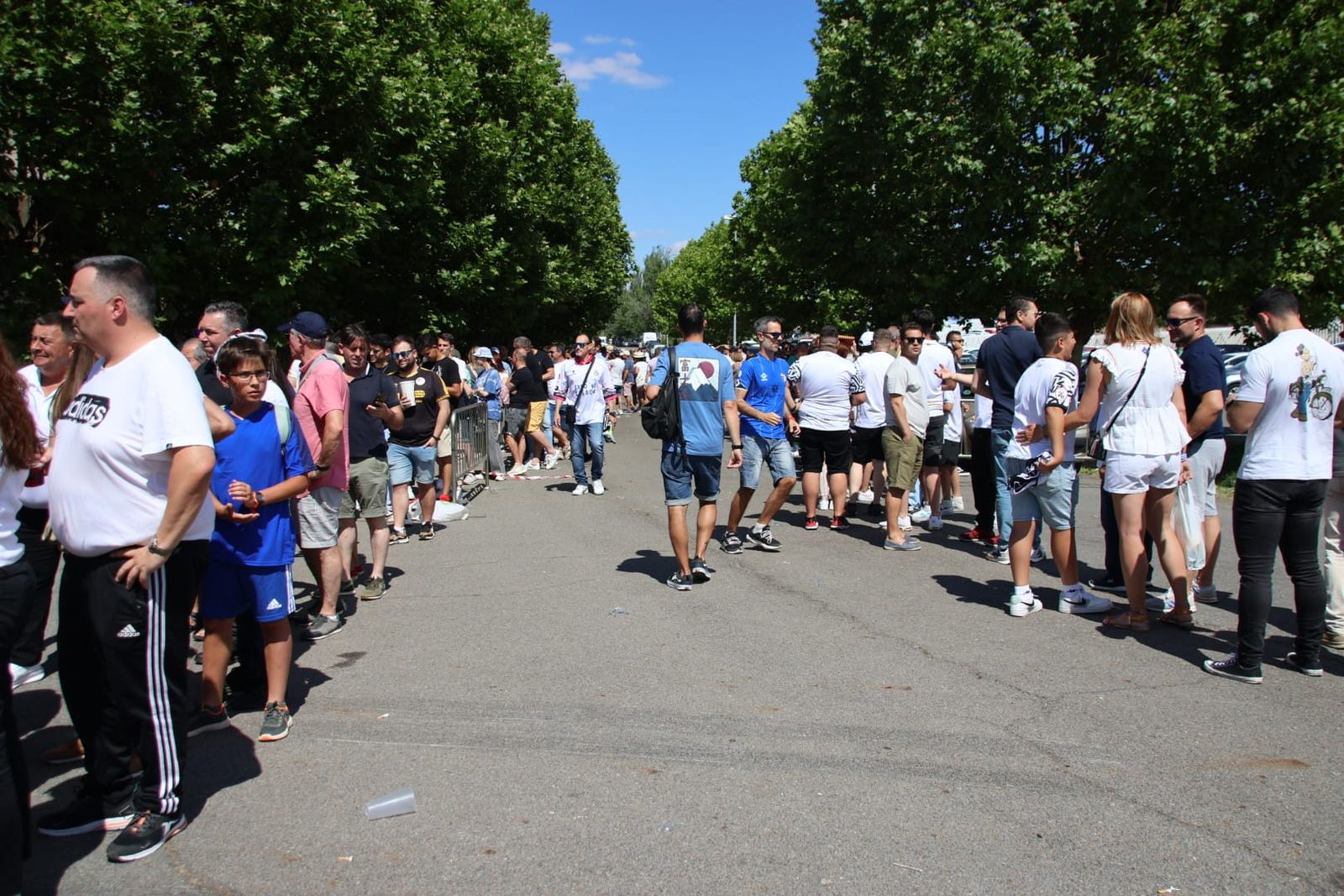 whatsapp-image-2024-06-23-at-17-02-41