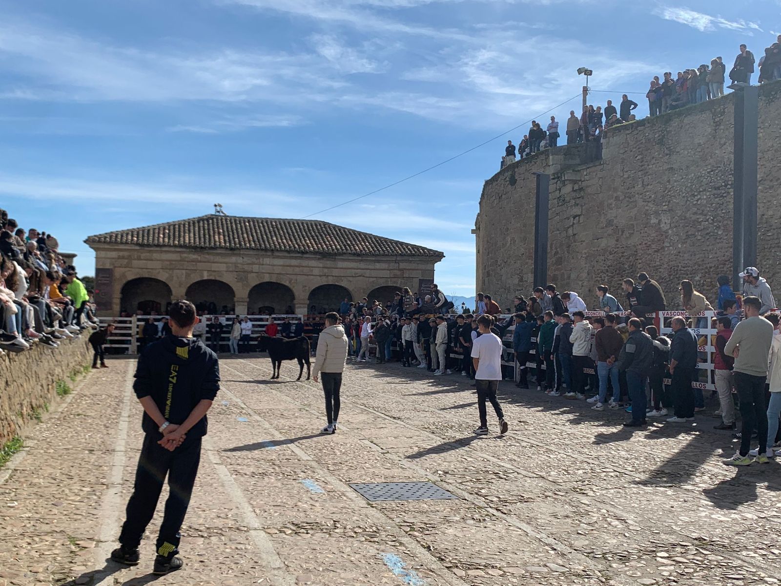 ambiente-con-la-suelta-de-vaquillas-en-el-domingo-de-pinata-en-ciudad-rodrigo-8