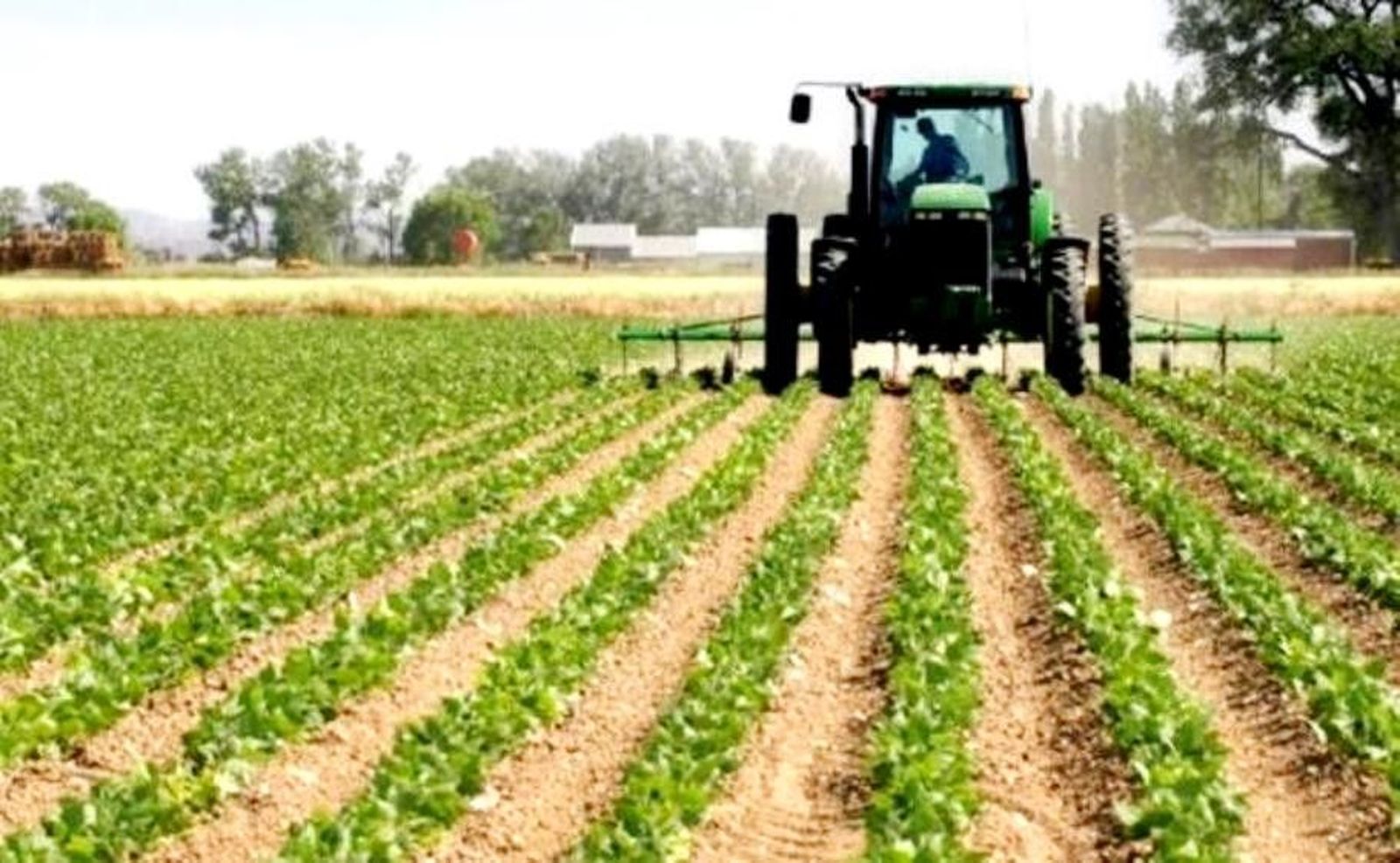 Tracti k2JH U401155421916A6E 624x385@Leonoticias