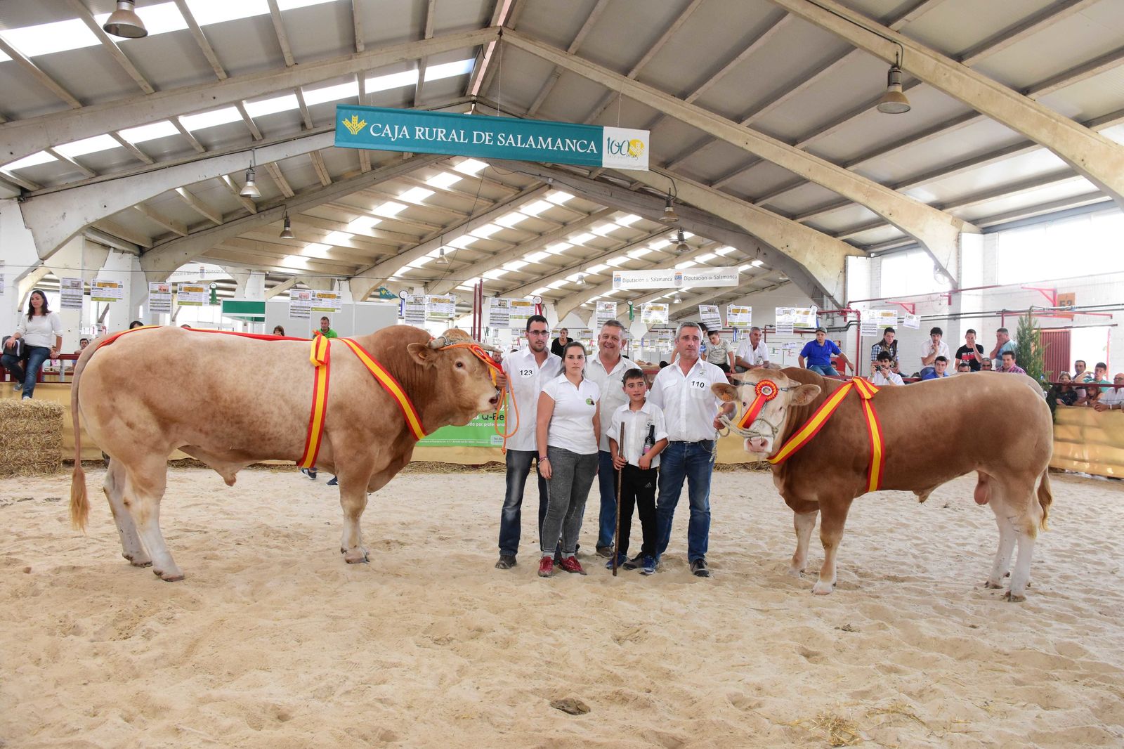 'Ión' y 'Fisca', campeones del X Concurso Nacional de Raza Blonda de Aquitania