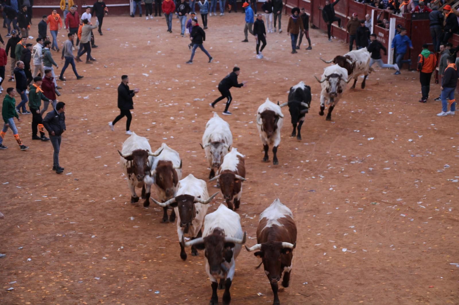 encierro-mansos-carnaval-del-toro-7