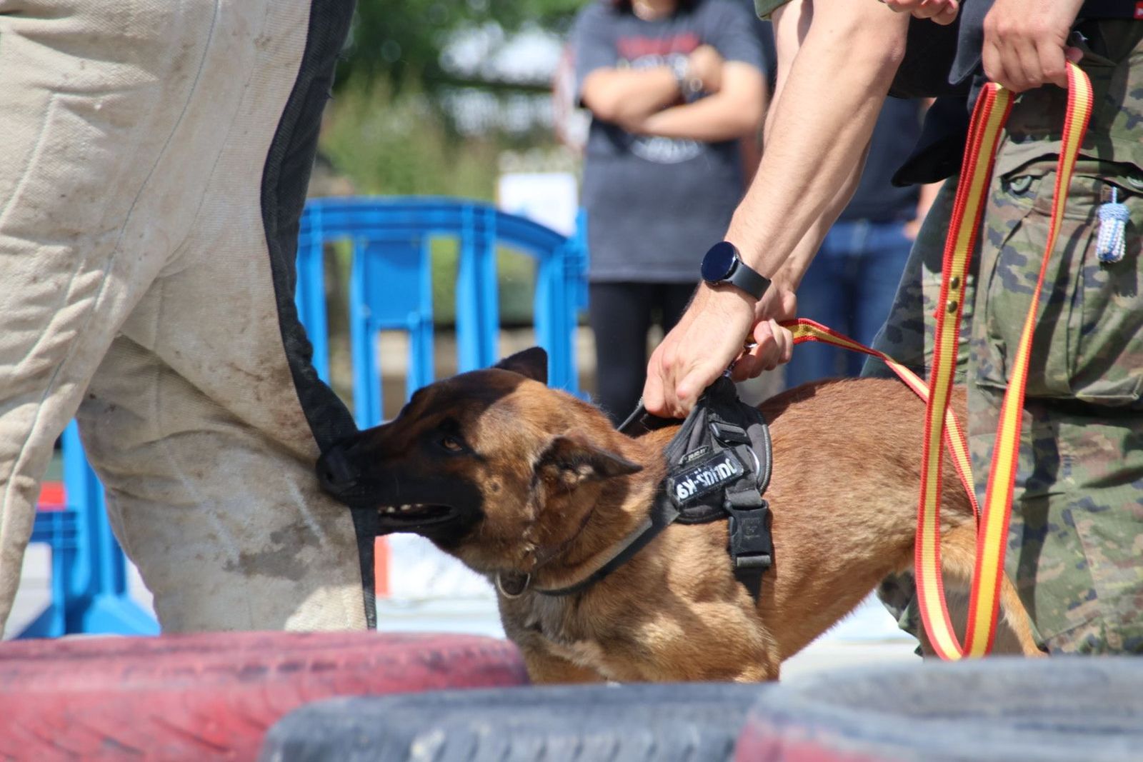 20230608102600-img-0412