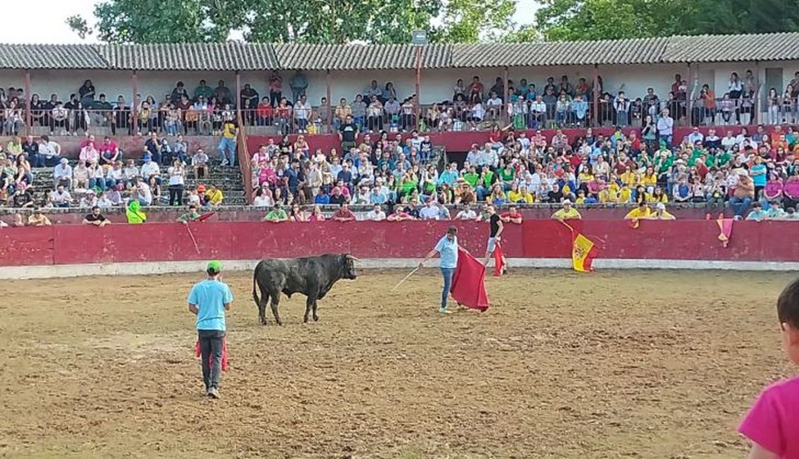 Encierro, capea y Gran Prix en Vitigudino (5)