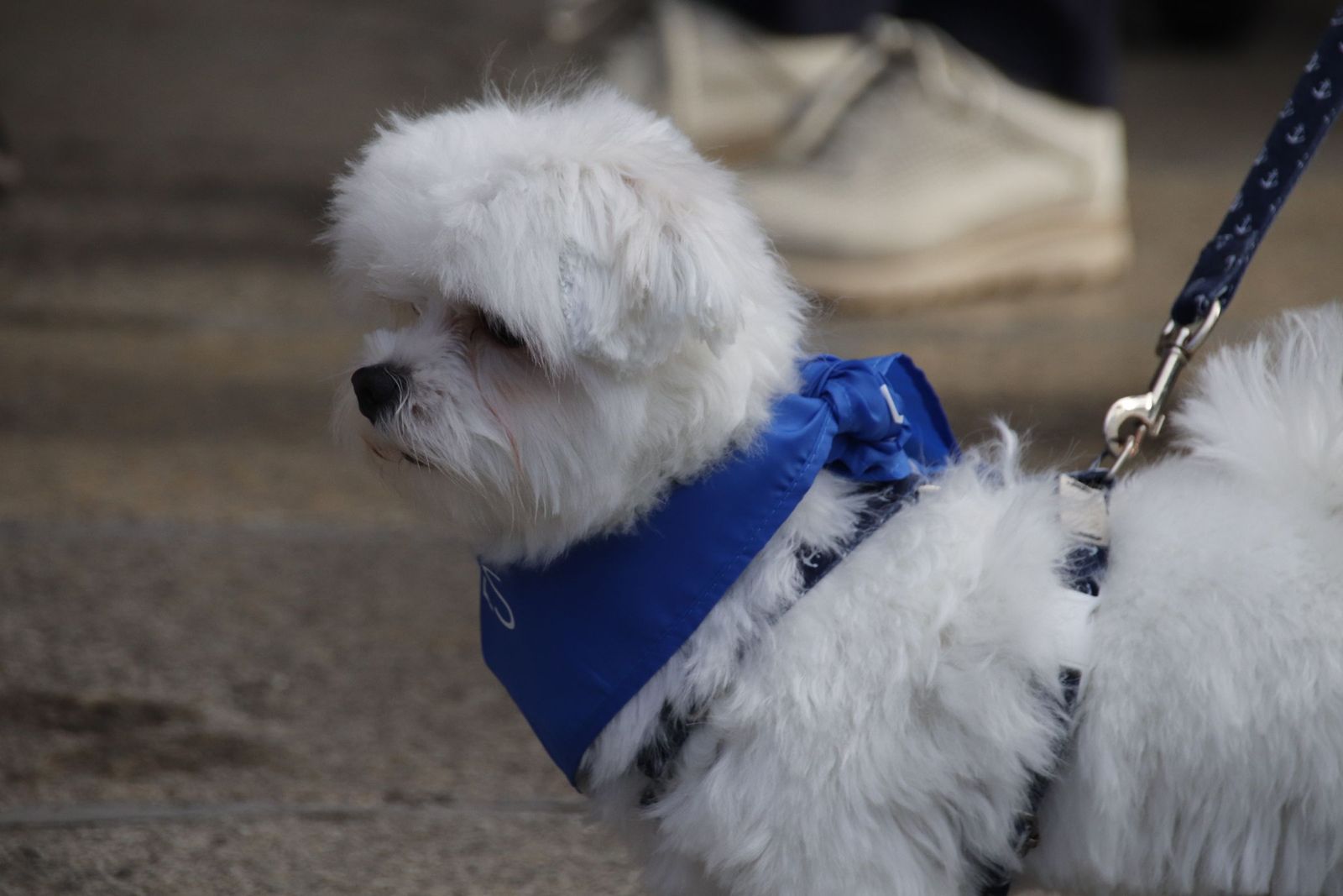 20221112112816-mg-1279