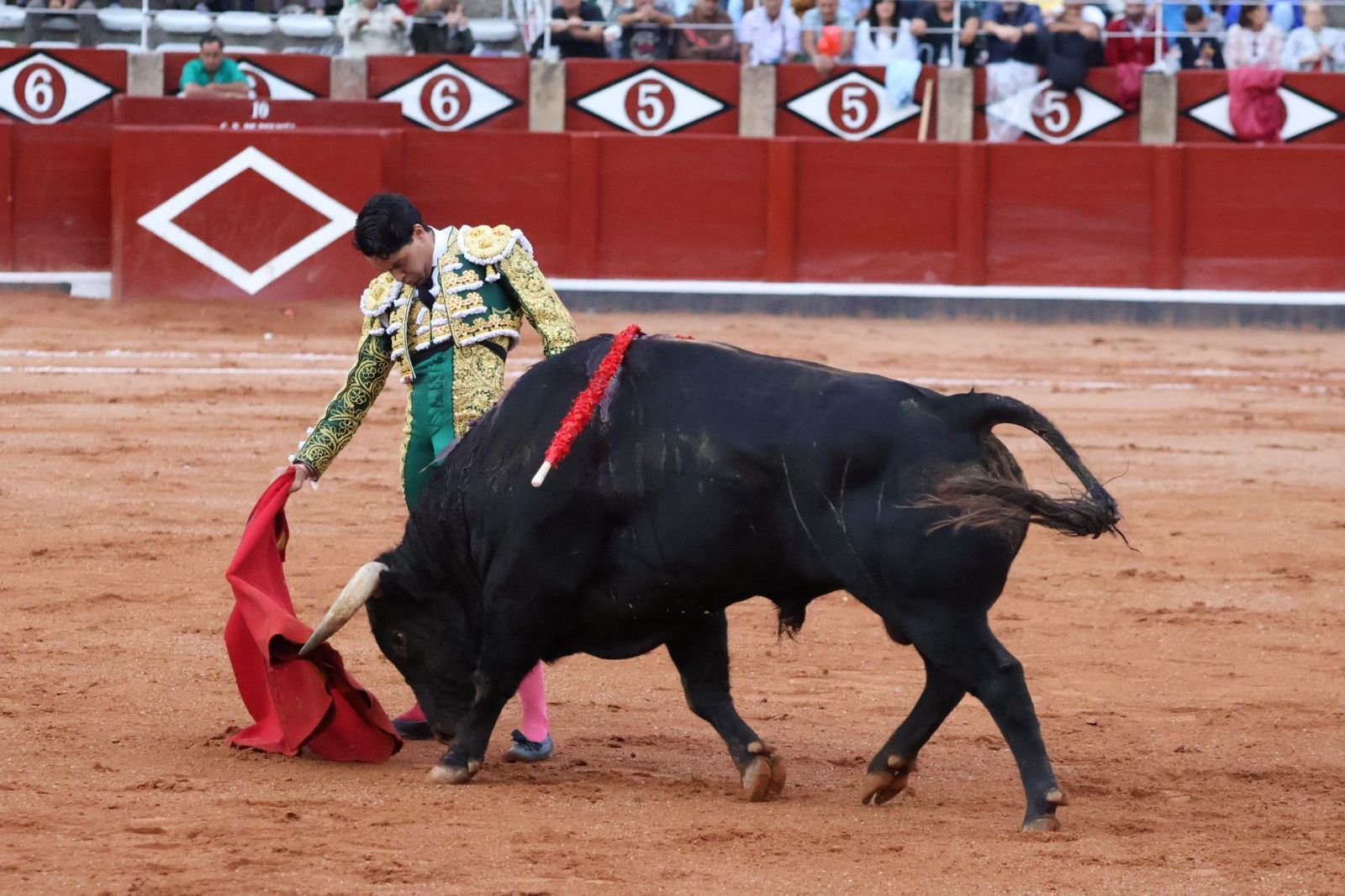 20230915192350-img-4350