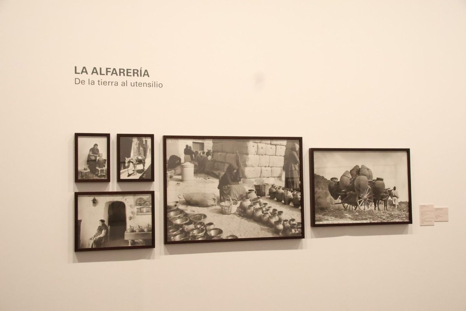 20240411094531-img-7445