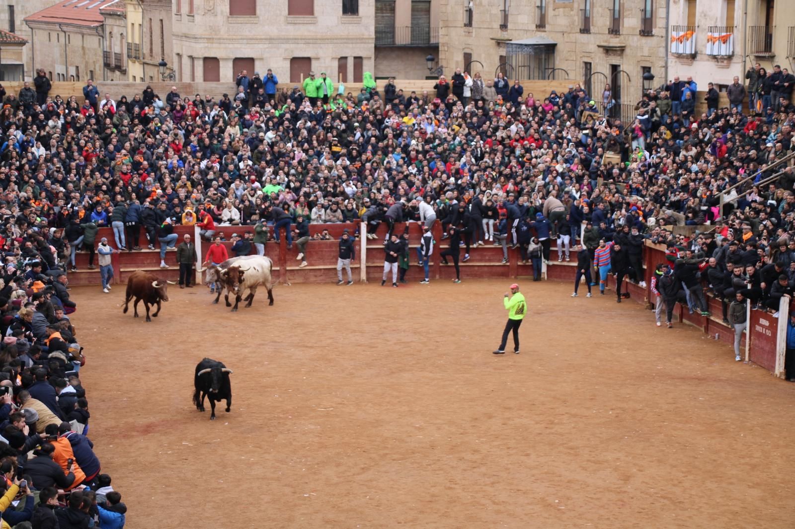 Encierro a Caballo en el Carnaval del Toro 2026 de Ciudad Rodrigo