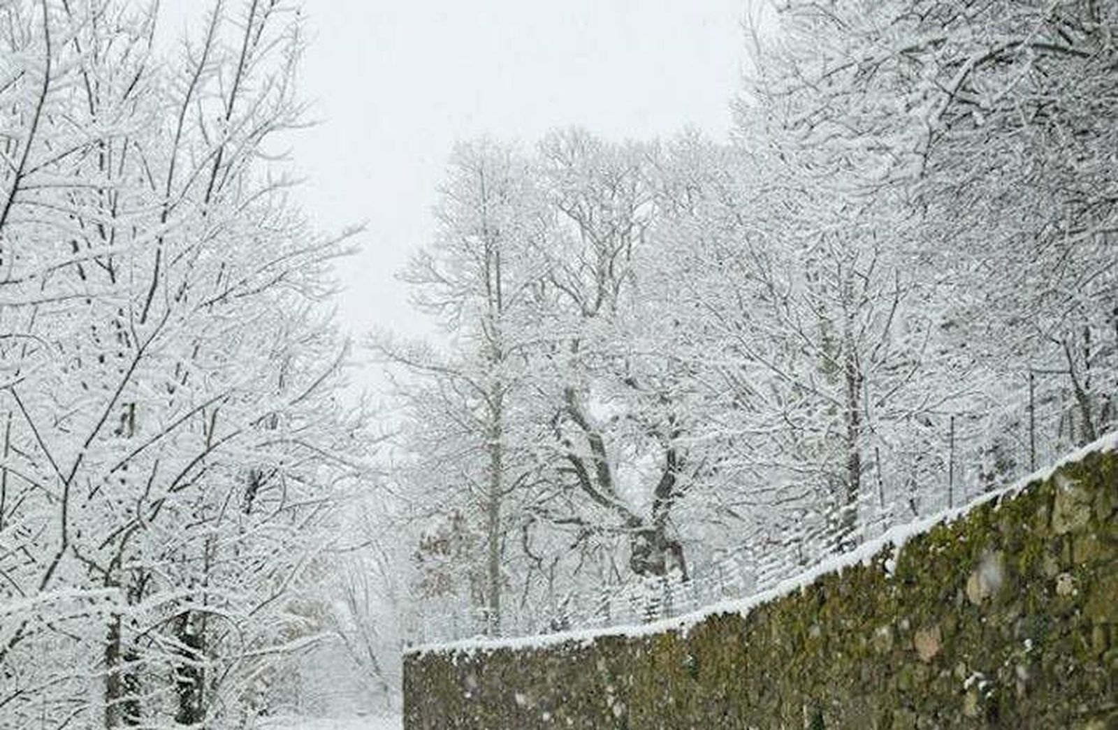Sanabria, en alerta amarilla por acumulación de diez centímetros de nieve