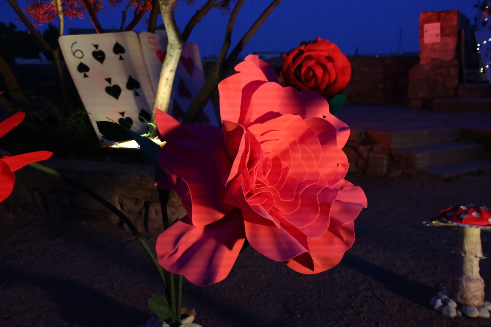 20240613212604-img-7522