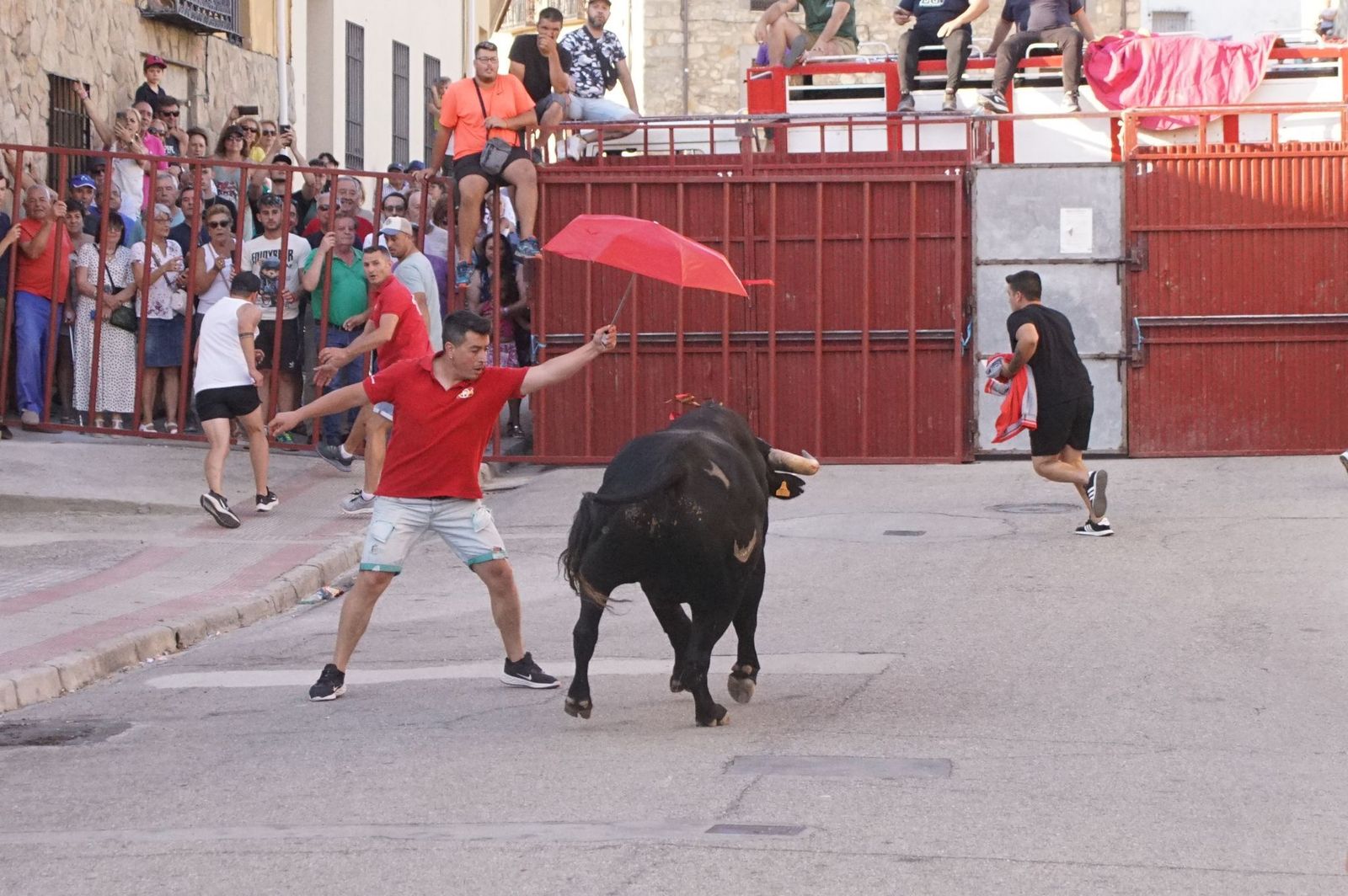 whatsapp-image-2024-08-04-at-21-09-54-1