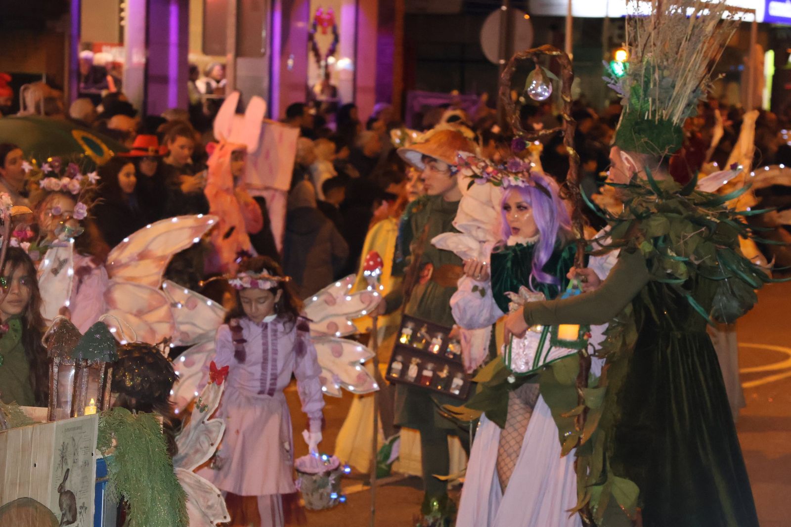 GALERÍA | Disfruta de las imágenes del colorido desfile de Carnaval en Zamora