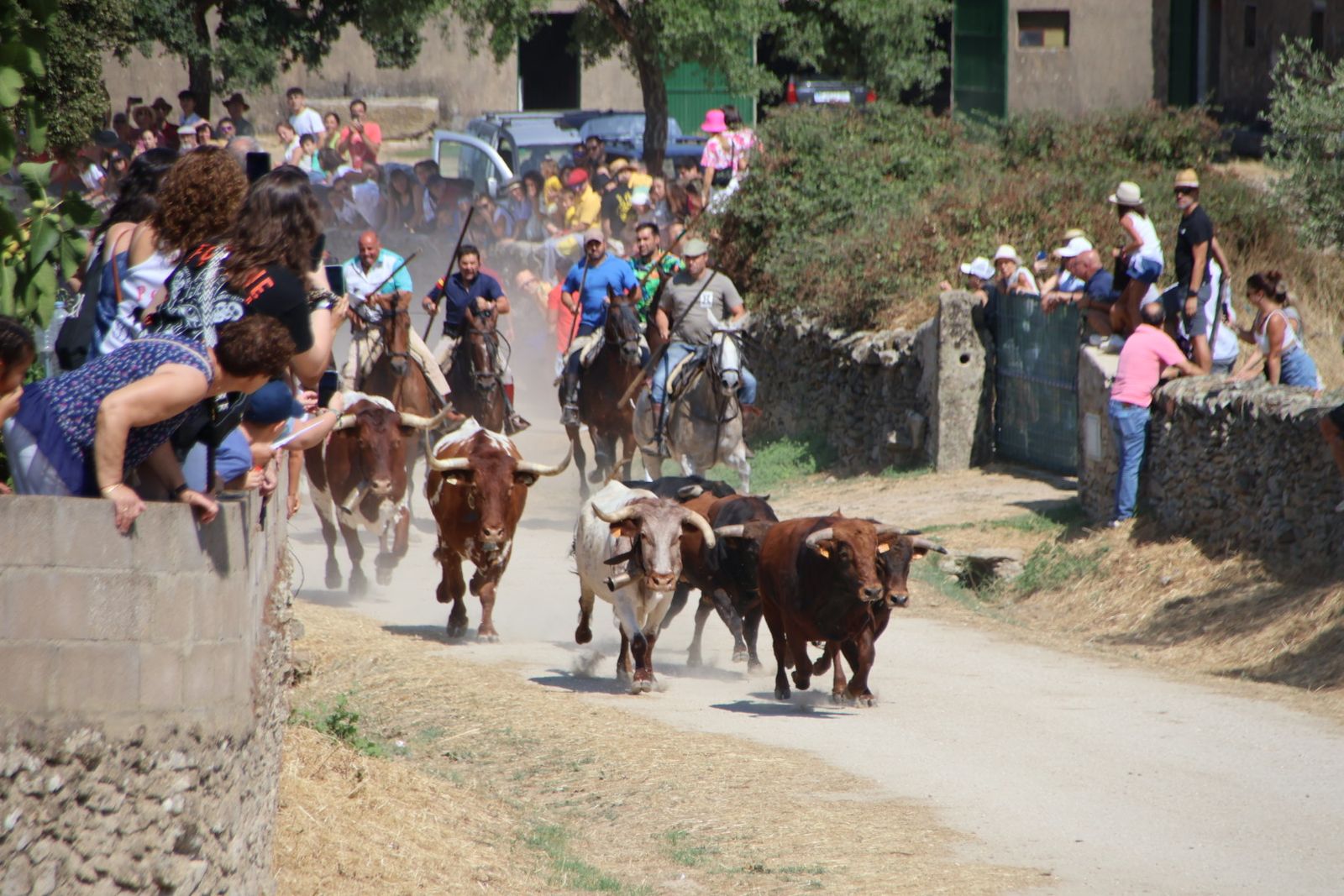 Lumbrales encierro a caballo