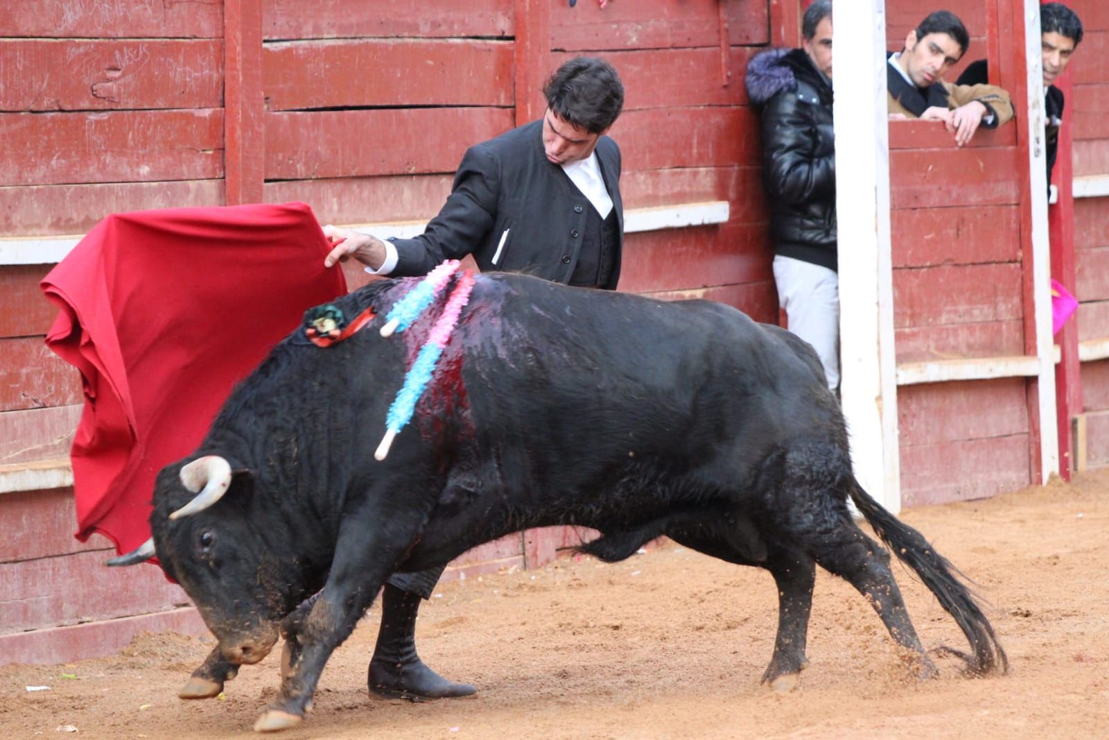 whatsapp-image-2023-02-21-at-17-35-04