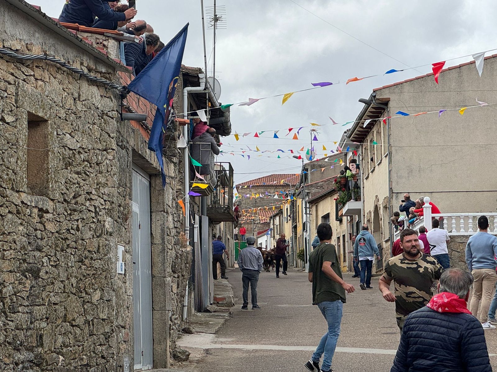 Segundo encierro con novillos de Valdeflores en Pereña de la Ribera