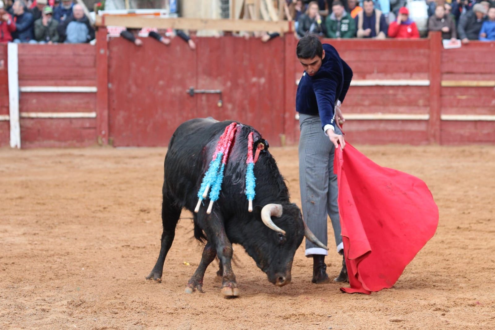 whatsapp-image-2023-02-21-at-17-36-32