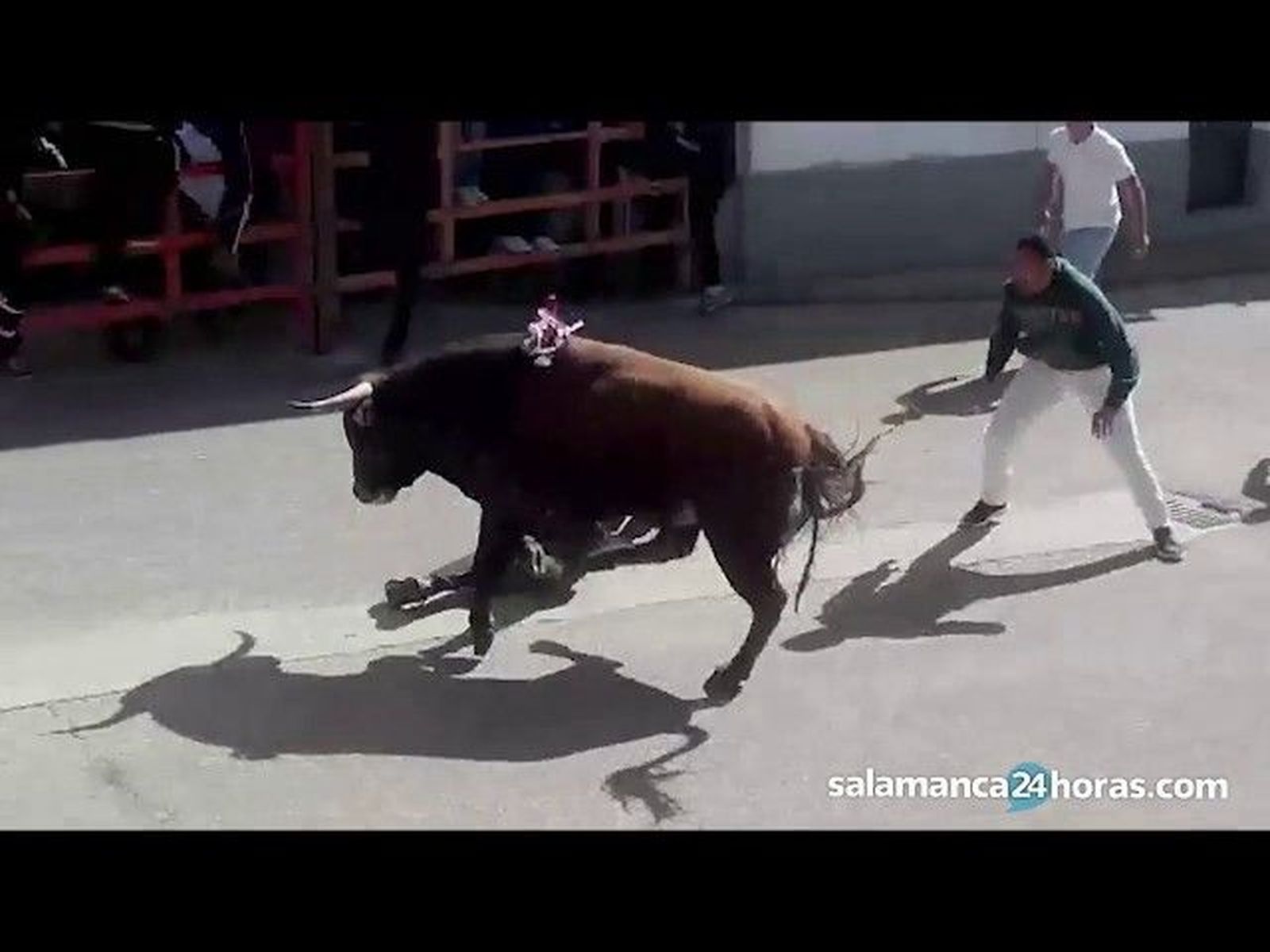 Susto en el toro del cajón de Cantalpino