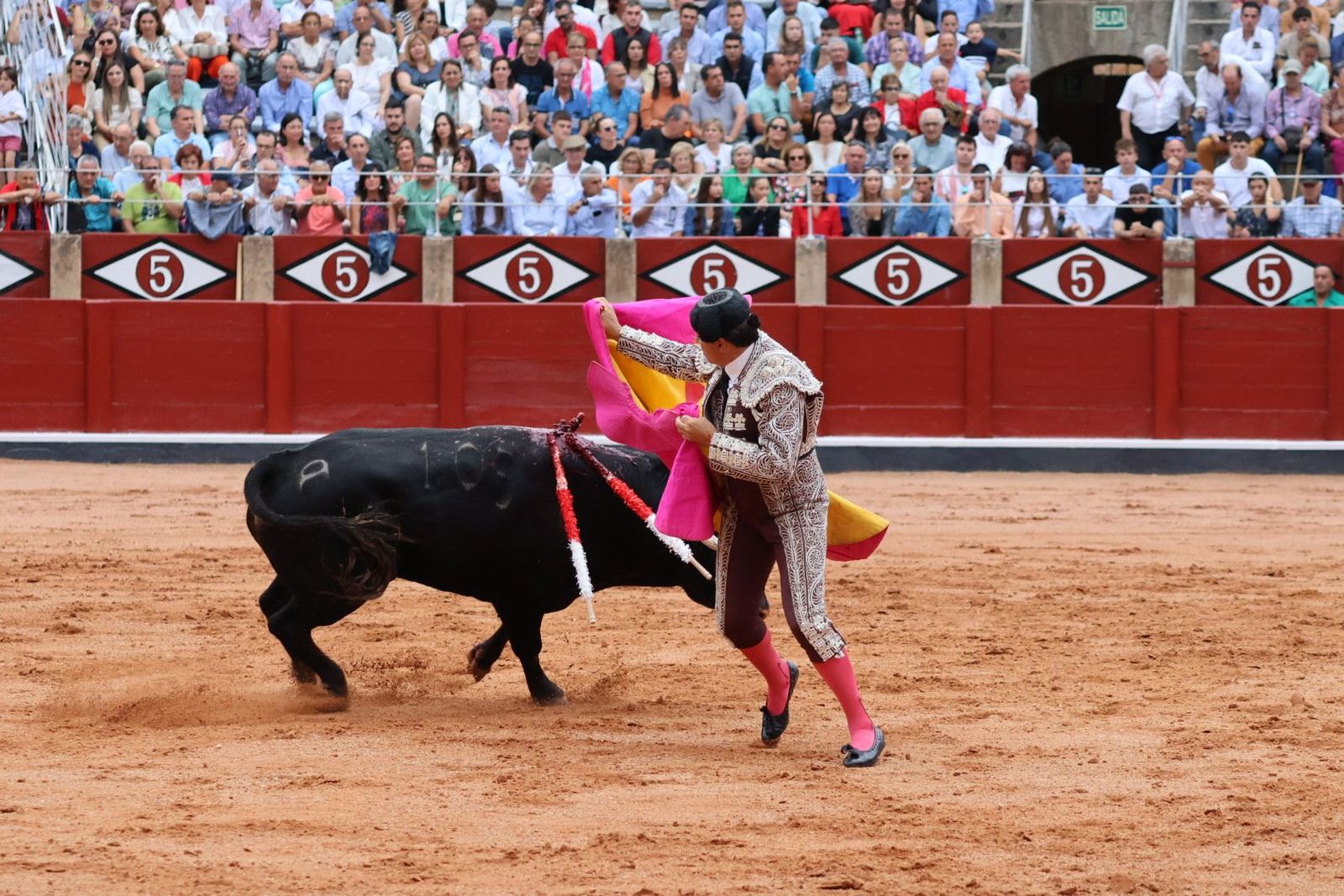 20230909174224-img-0528