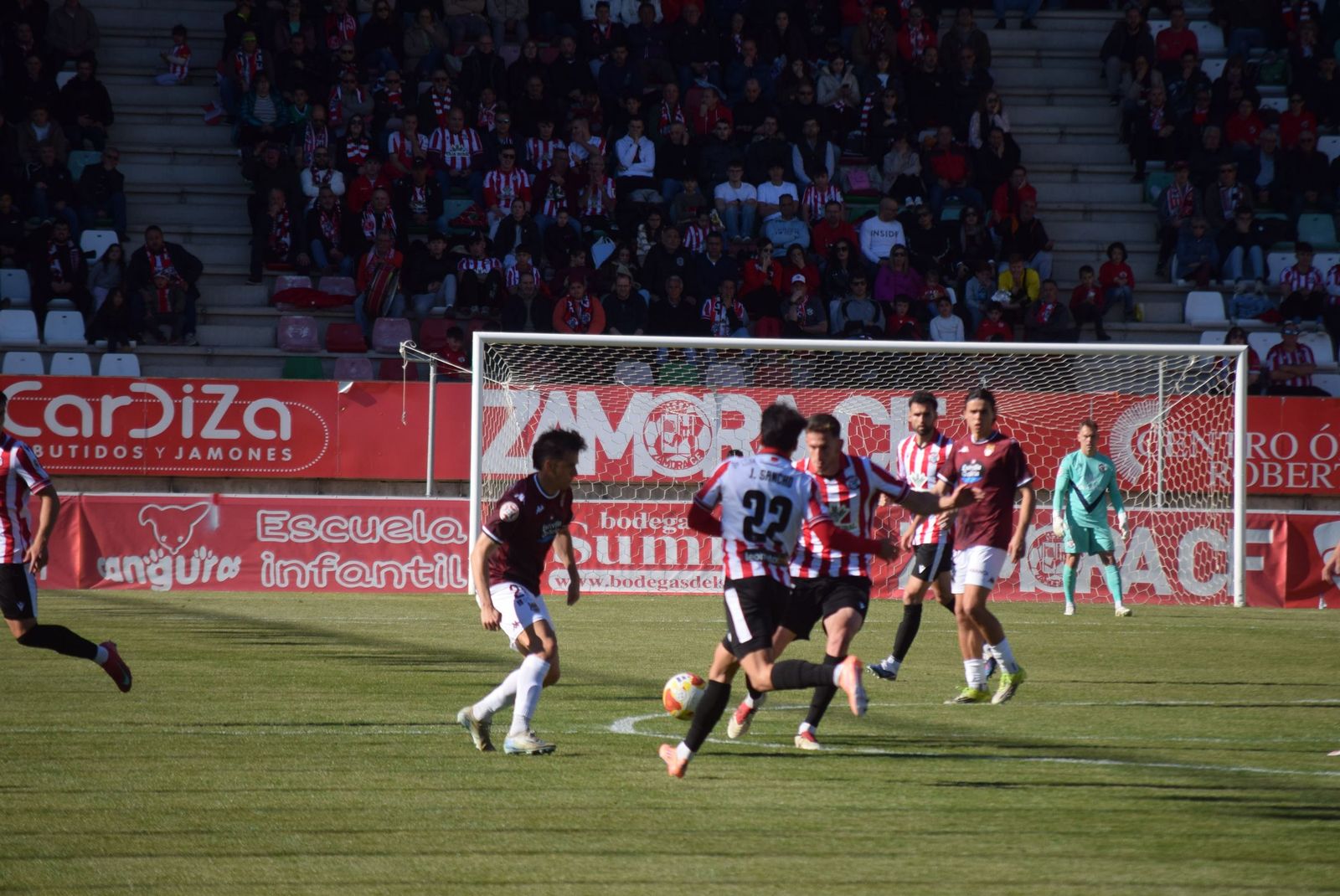 Zamora CF - Pontevedra CF (68).JPG