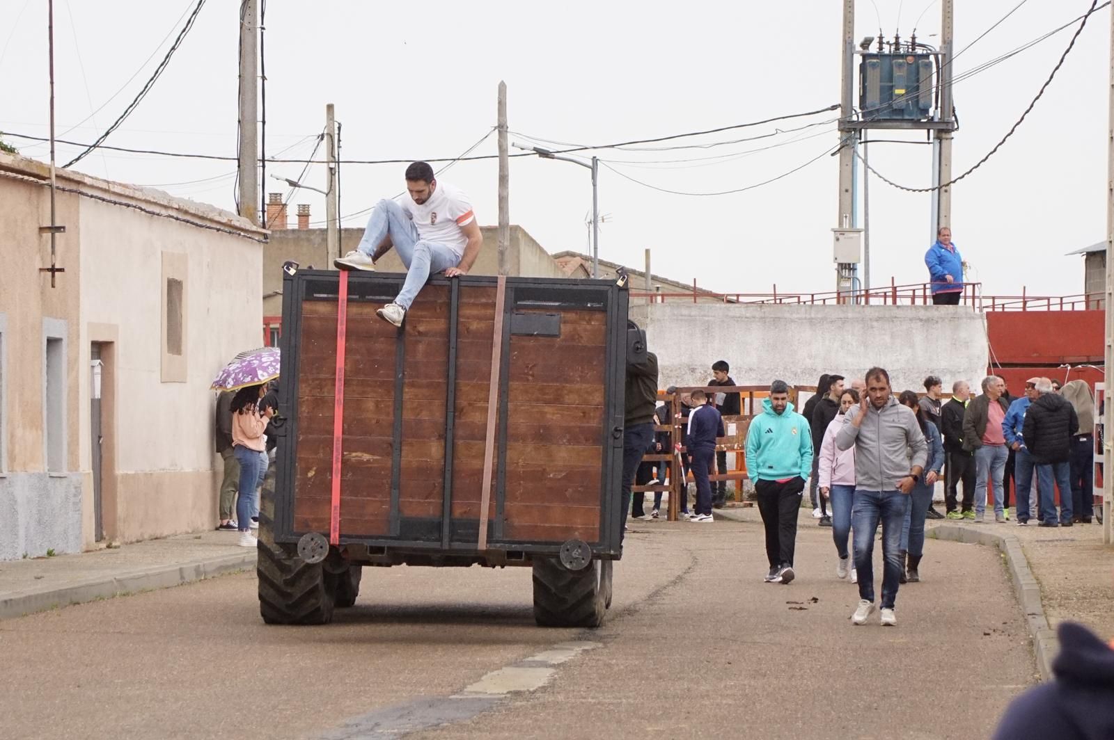 Villoria, toro del Voto