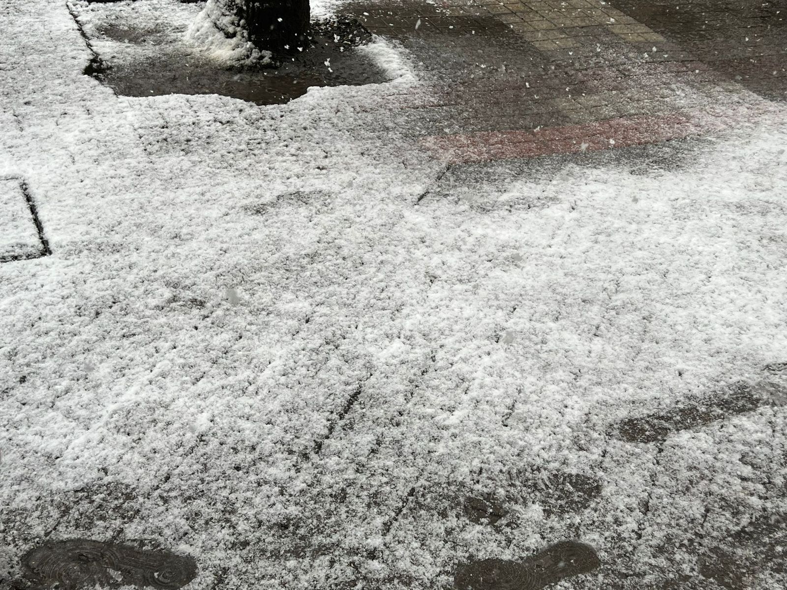 imagen-de-whatsapp-2023-02-23-a-las-11-36-29