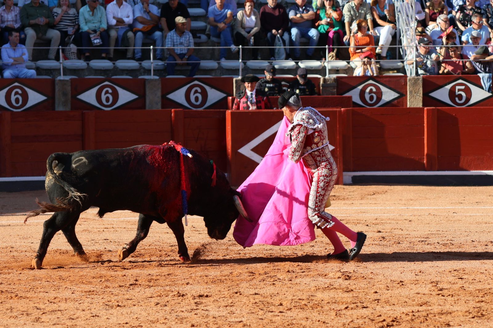 La Glorieta revive el aroma de la feria taurina con el primer festejo: Lea Vicens, Raquel Martín y Olga Casado