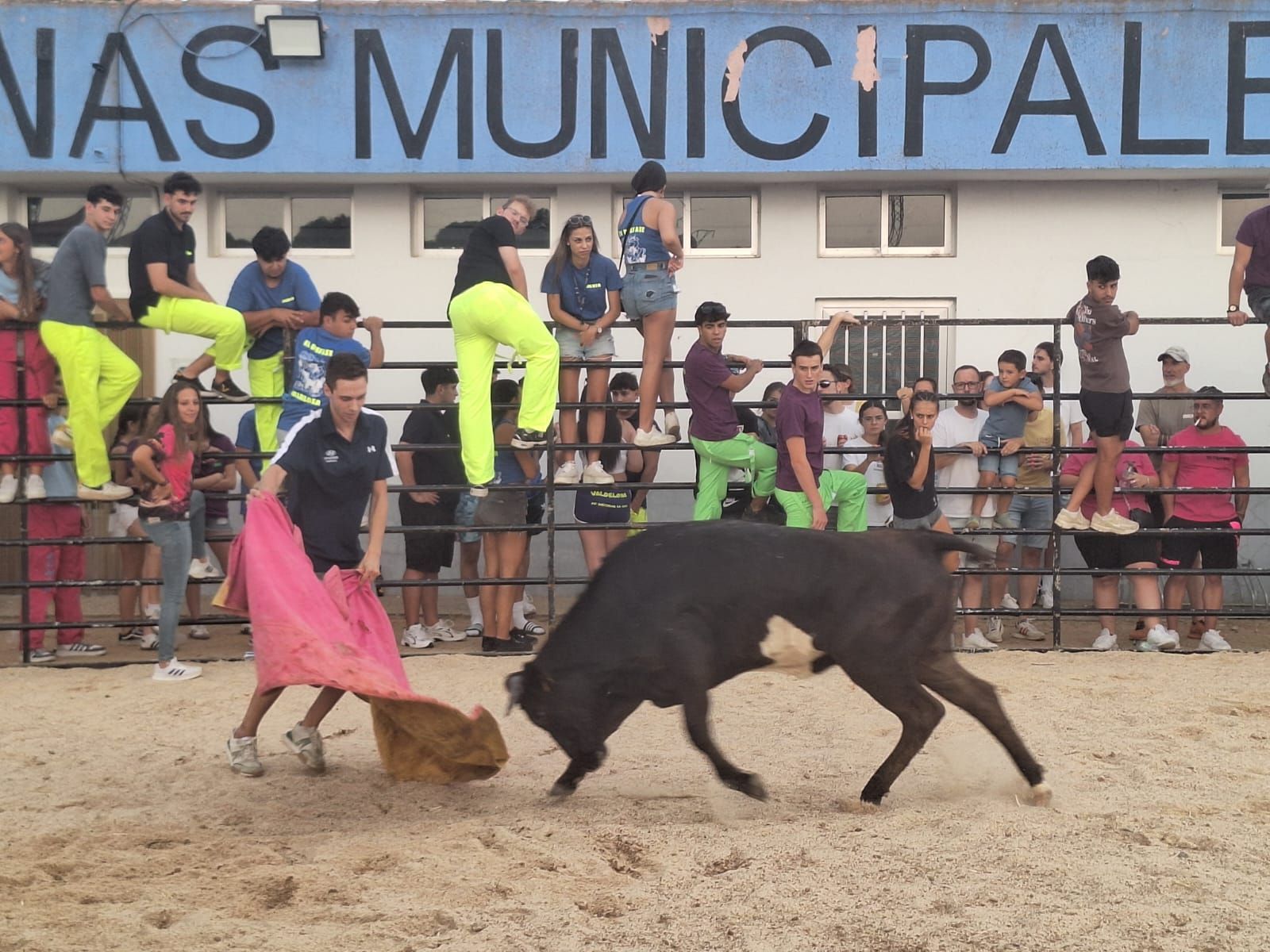 Cientos de personas disfrutan de las vaquillas de Valdelosa