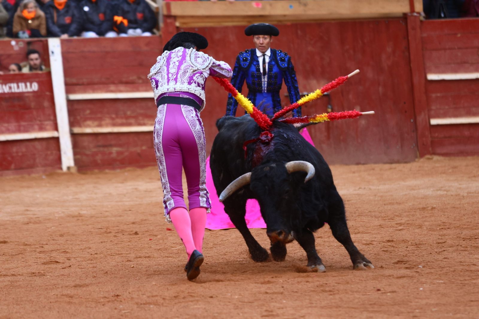Novillada con picadores de lunes en el Carnaval del Toro de Ciudad Rodrigo 2026
