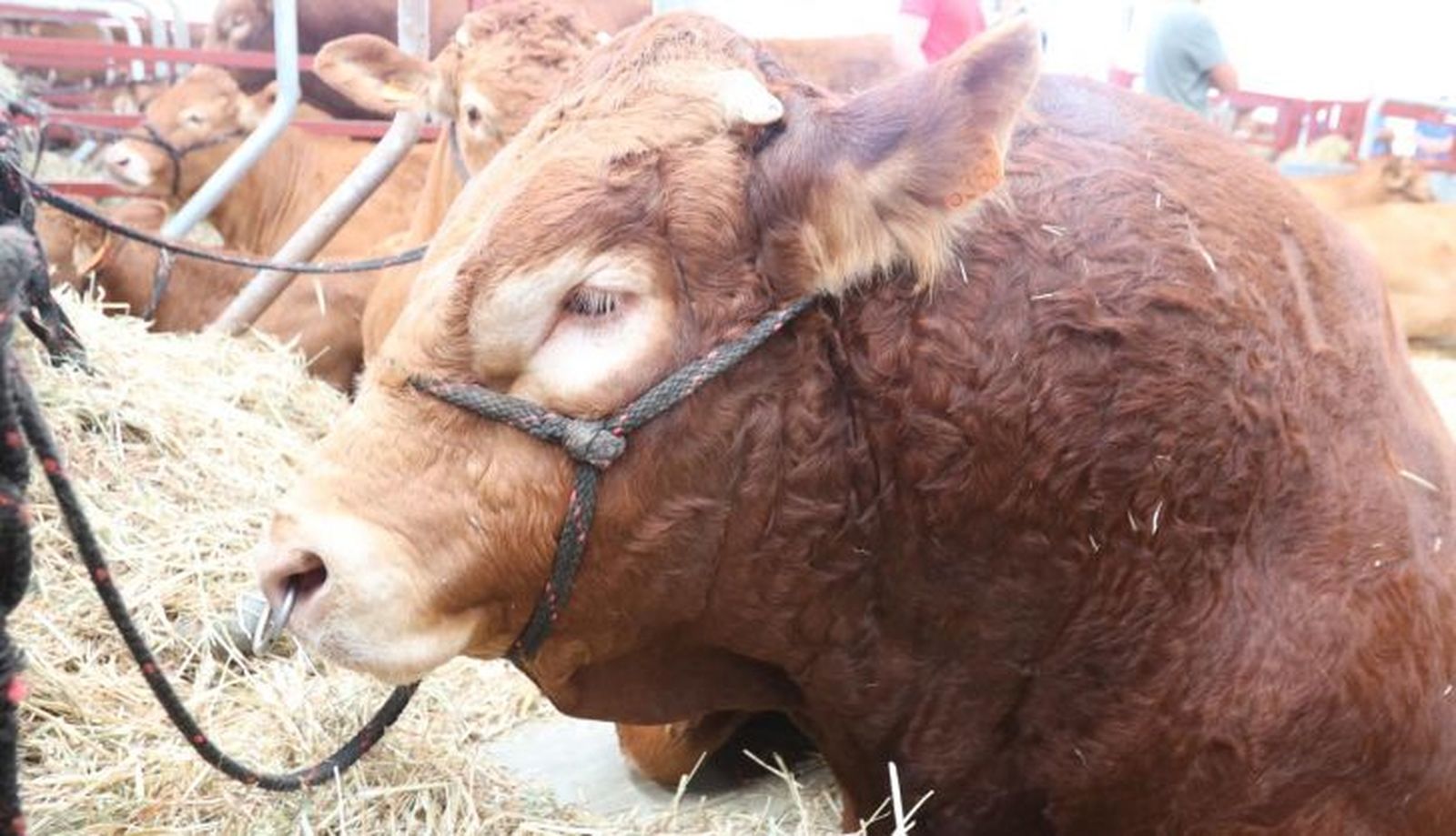 Inauguración de Salamaq 2021 2021 09 03 at 11.36.59 (3)