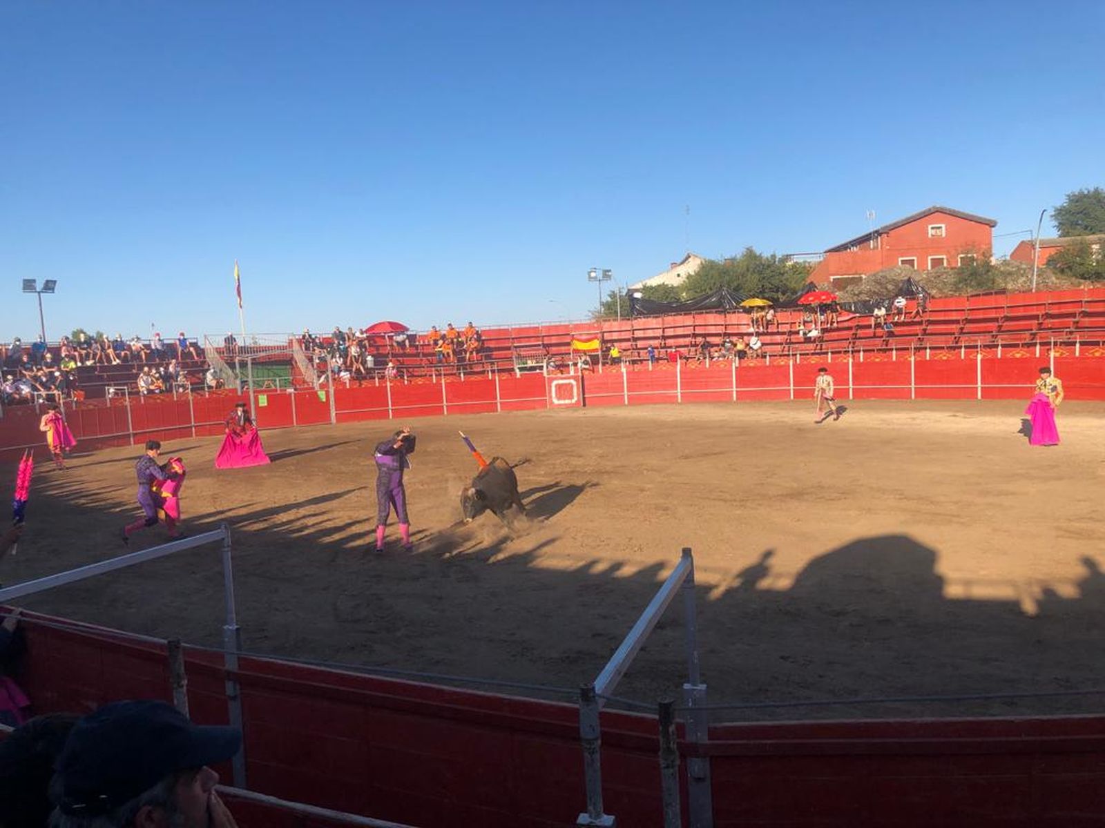 whatsapp-image-2021-08-17-at-19-56-02