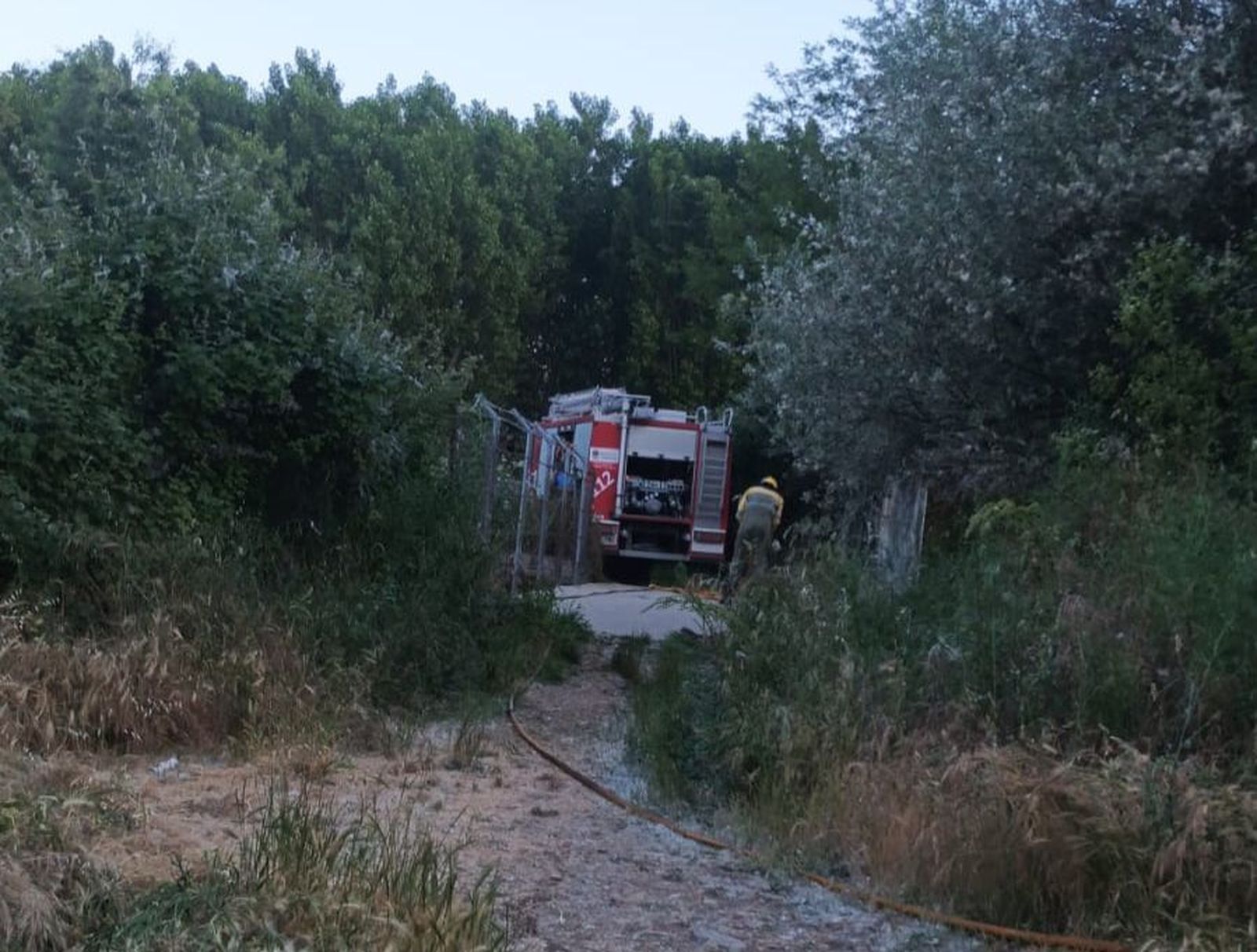 whatsapp-image-2025-06-06-at-21-44-47