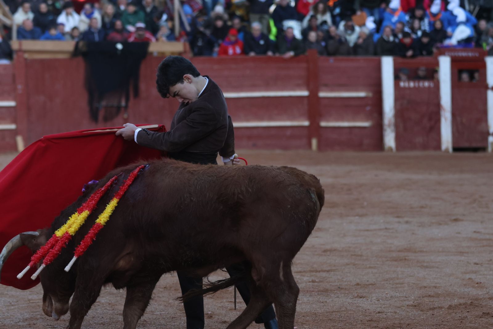 Festival taurino del Sábado en el Carnaval del Toro 2026 de Ciudad Rodrigo