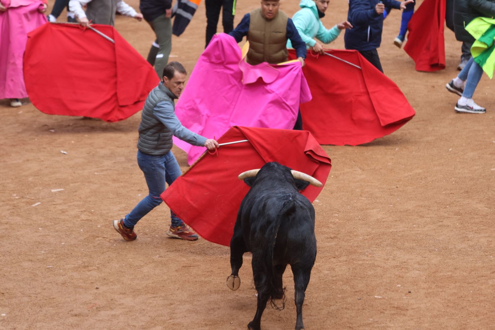 Capea de domingo en el Carnaval del Toro 2026 de Ciudad Rodrigo