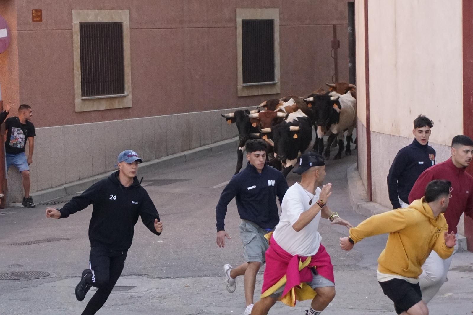 Encierro y capea en Alba de Tormes