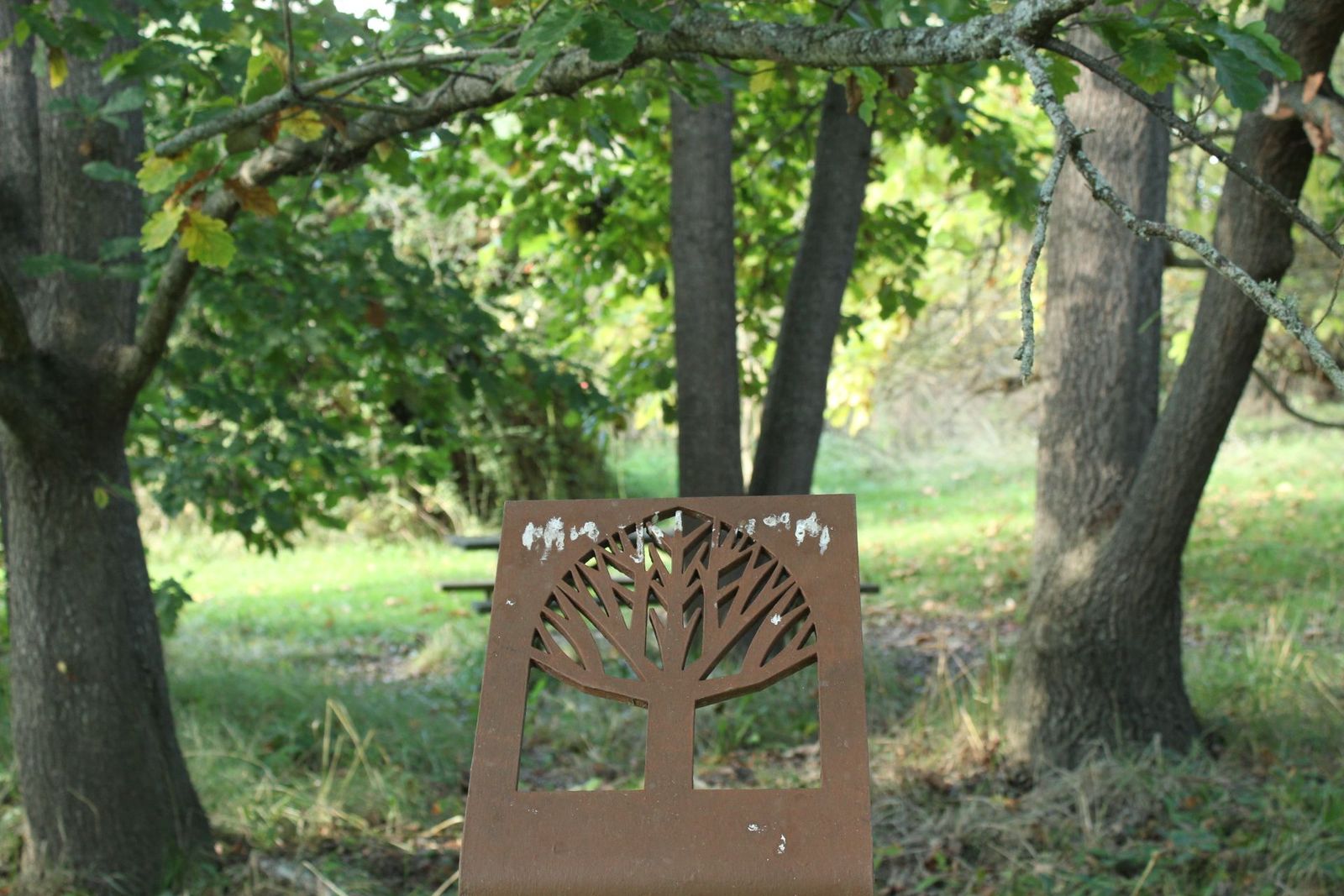 Ruta "Arte Emboscado" en la Fundación Tormes EB en Almenara. Arboreto Catedrales vivas