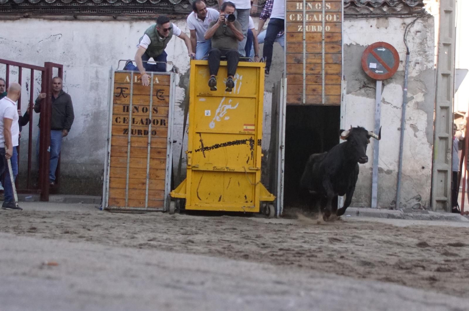 Toro del cajón y capea en Alba de Tormes