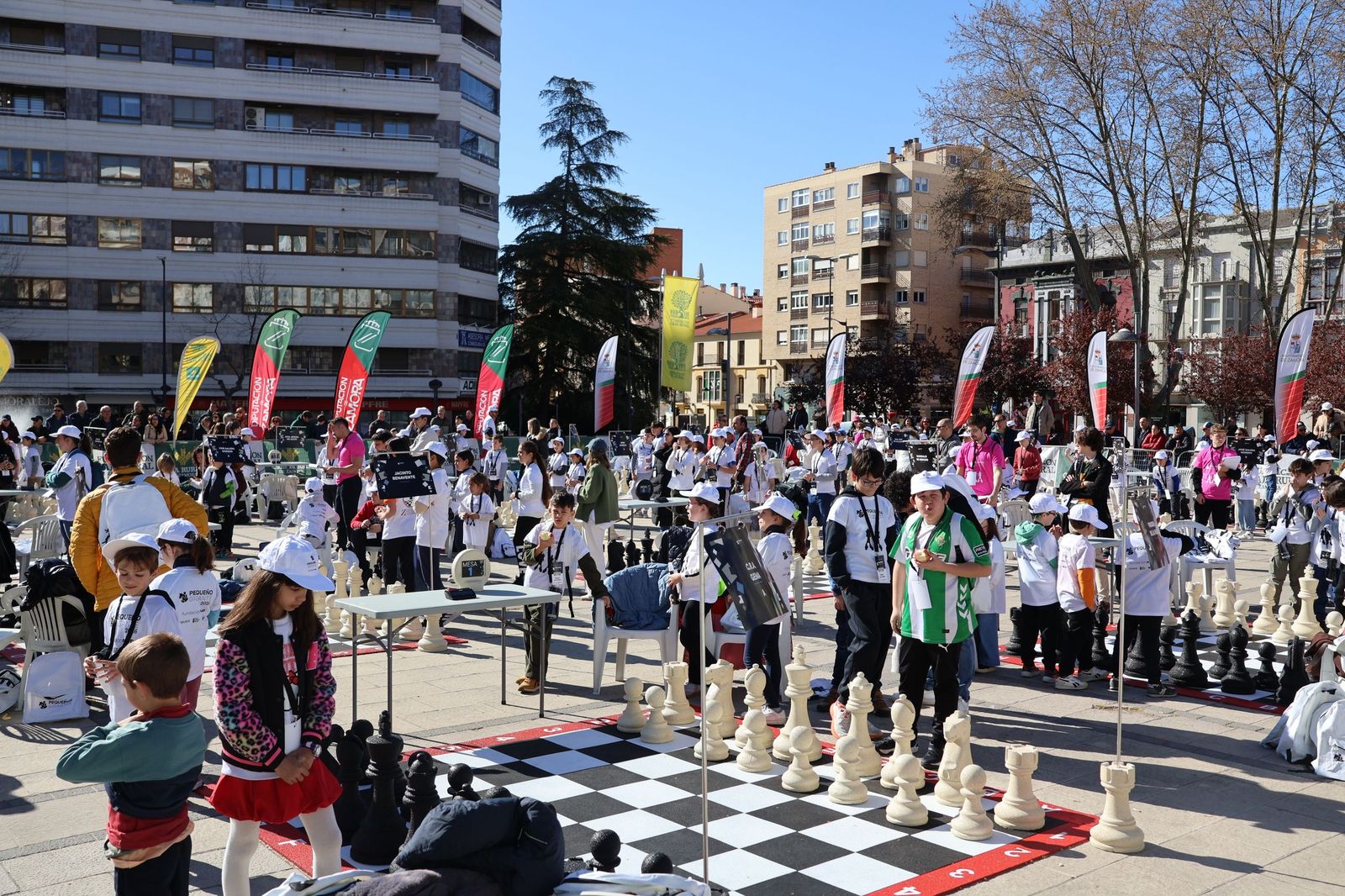 Pequeños Gigantes en 2026 en La Marina (4).JPG