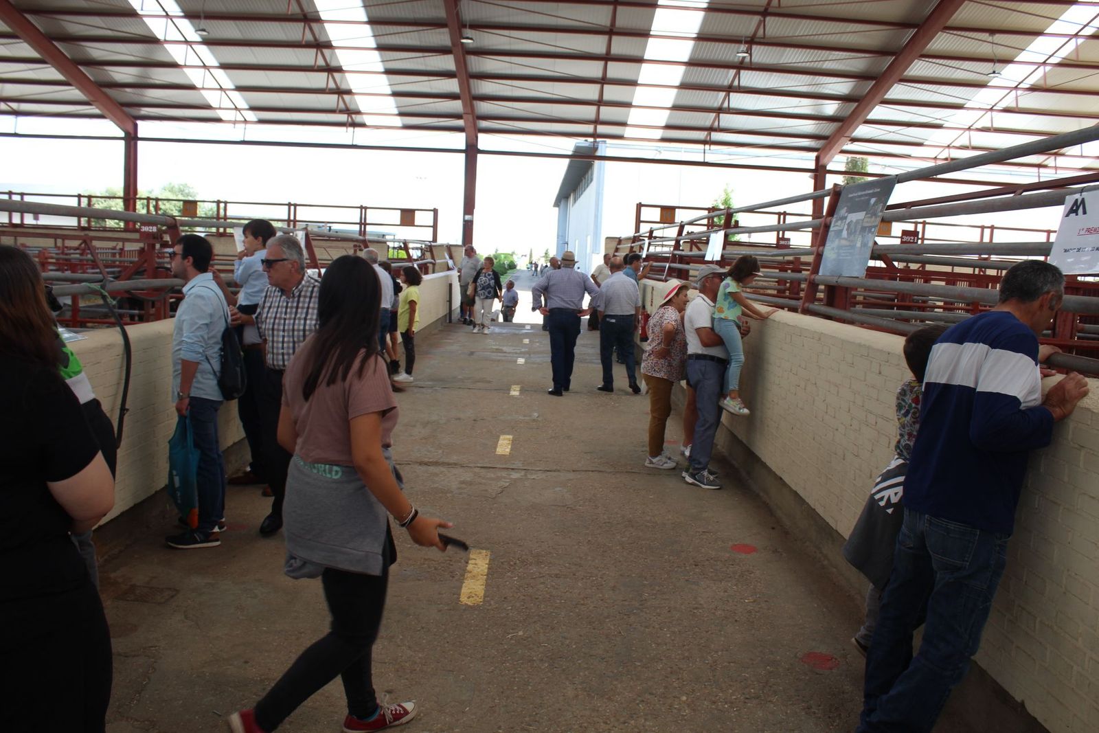 20230904142533-img-7567