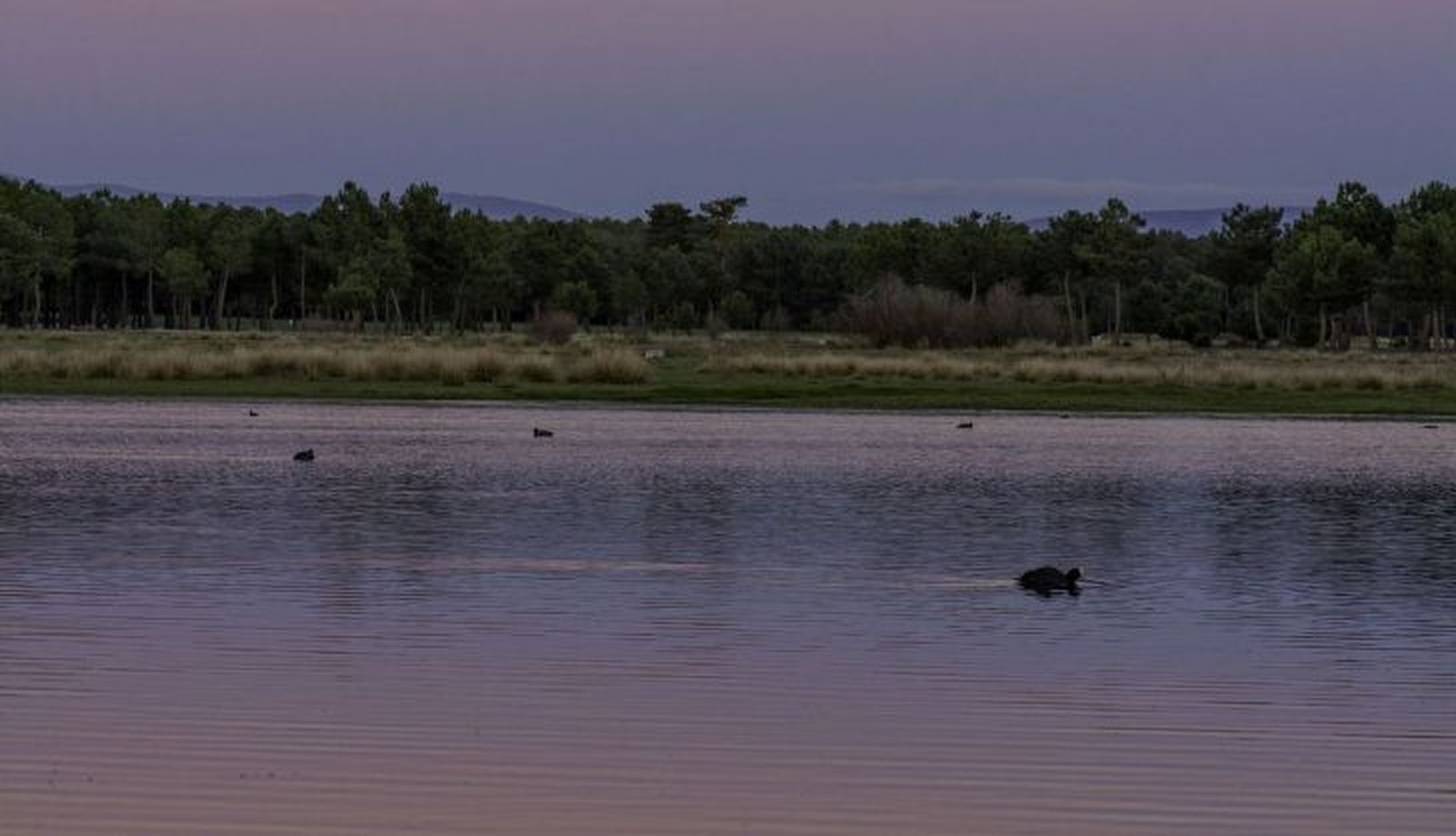 Humedales en Castilla y León 
