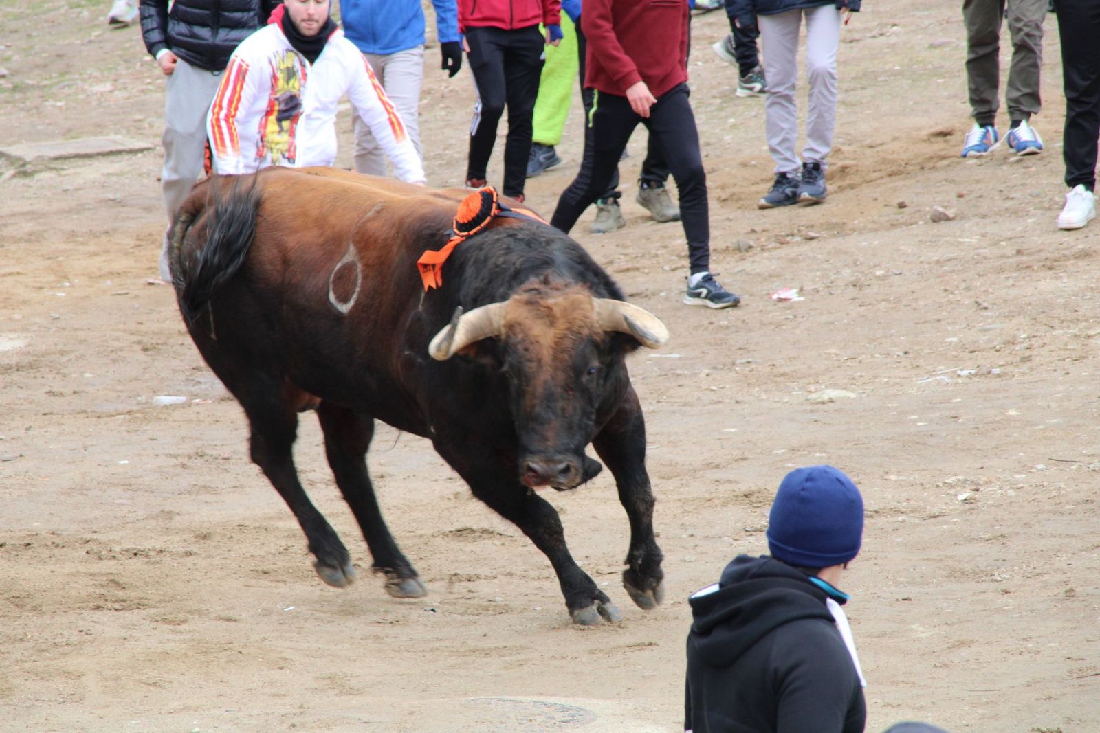 whatsapp-image-2025-03-01-at-11-56-26-1