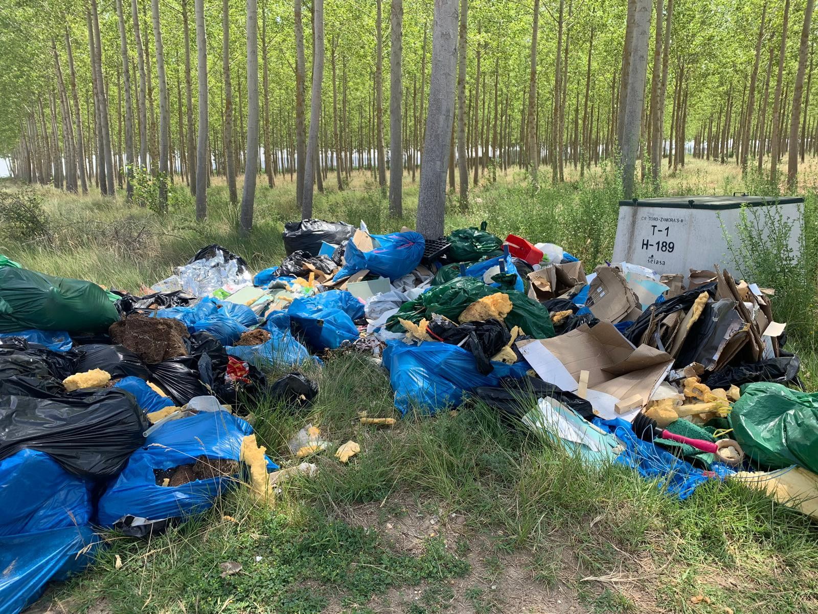 PHOTO 2019 07 02 16 19 29