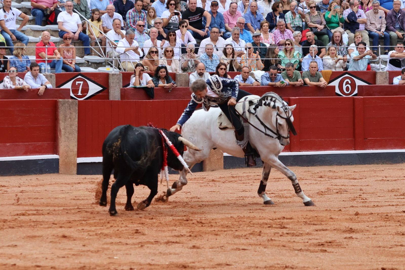 20230909172217-img-0439