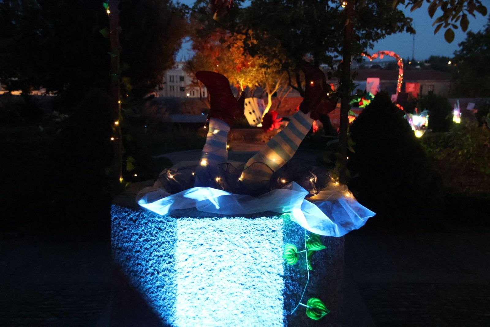 20240613212530-img-7520